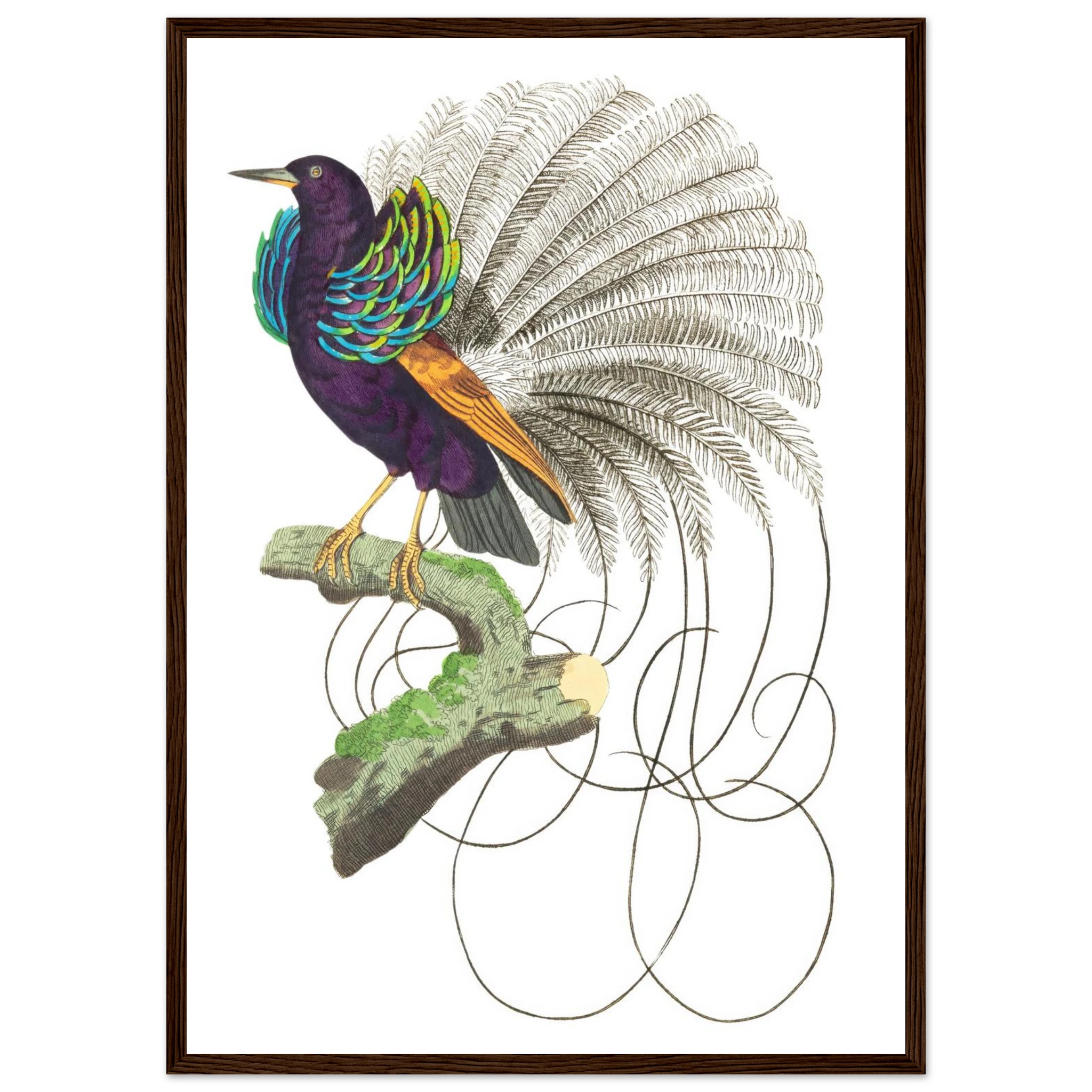 f5c9949c-29c6-4cd2-8156-d0d2fba7633d