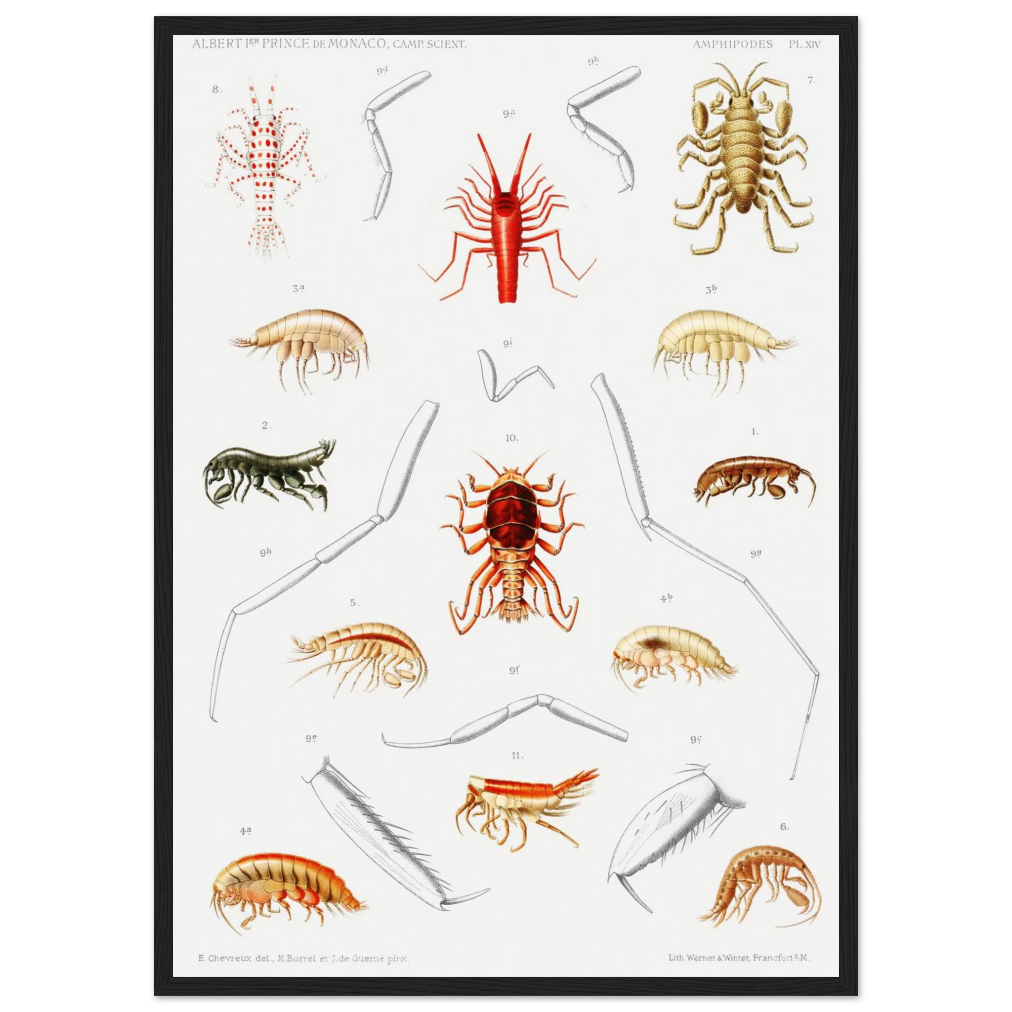 f61902ee-c41f-4f31-ad29-4e4b988af82a