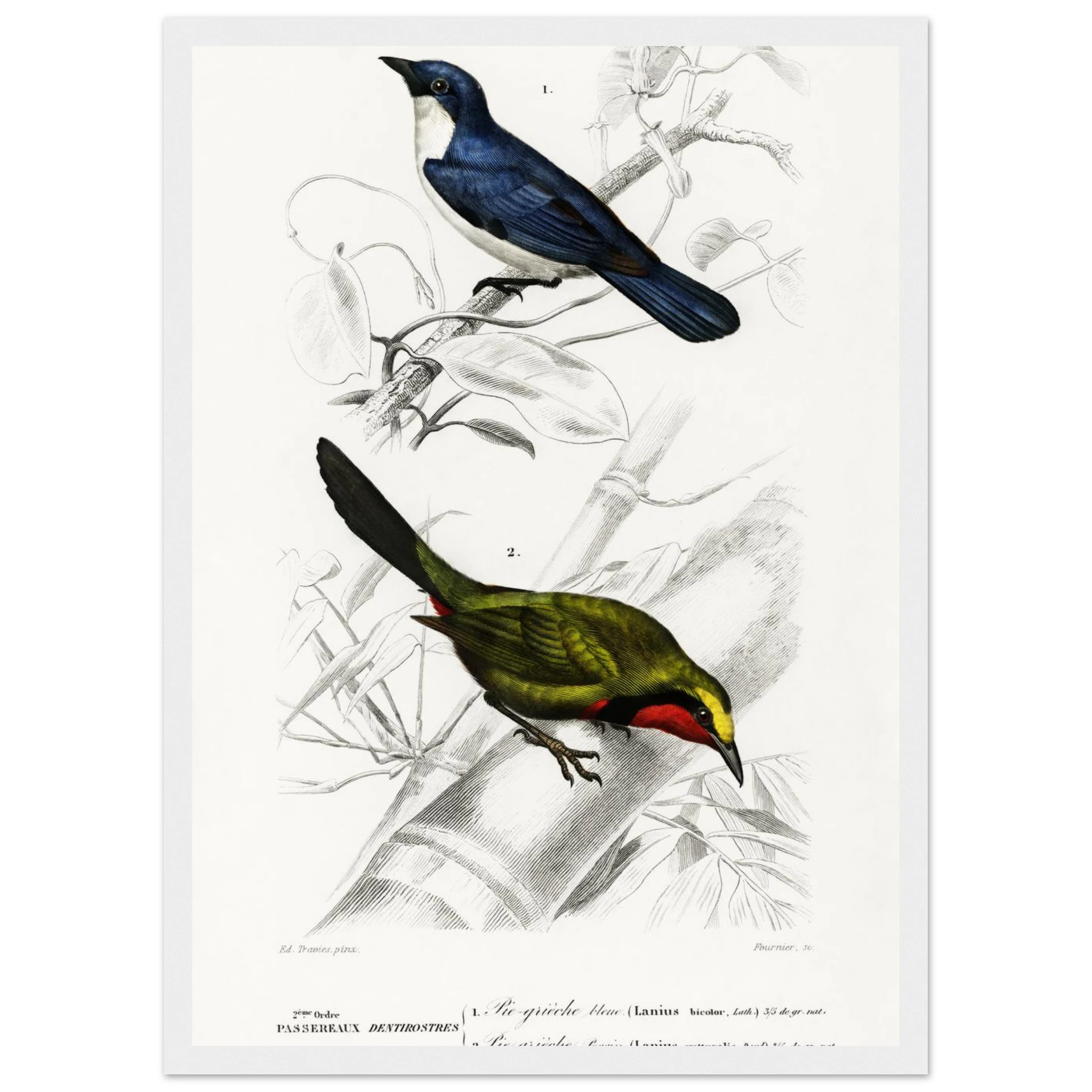 f64b22de-826a-479d-81df-264cefc44272