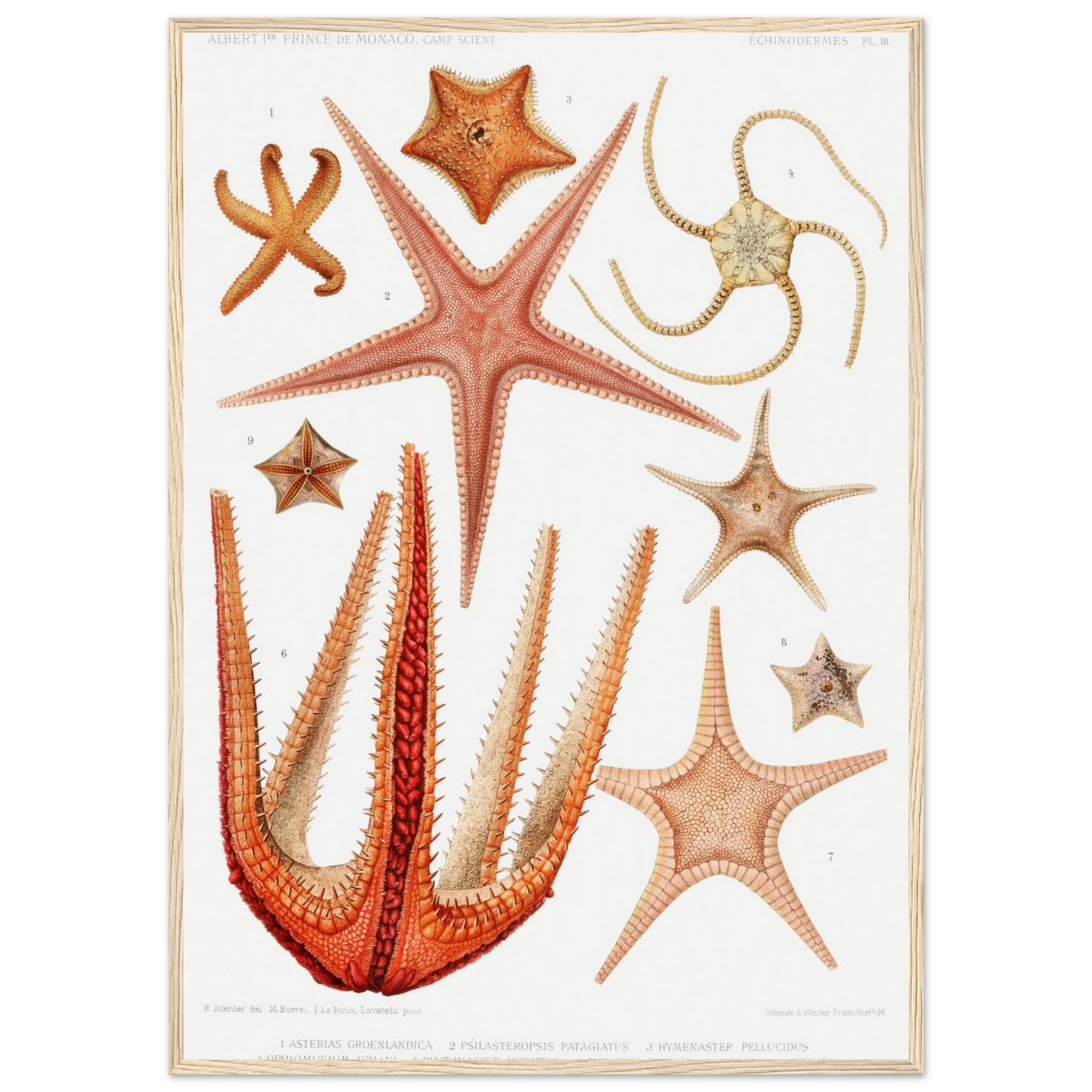 f66170d2-a615-4baf-a9c6-7e823c5bfd28