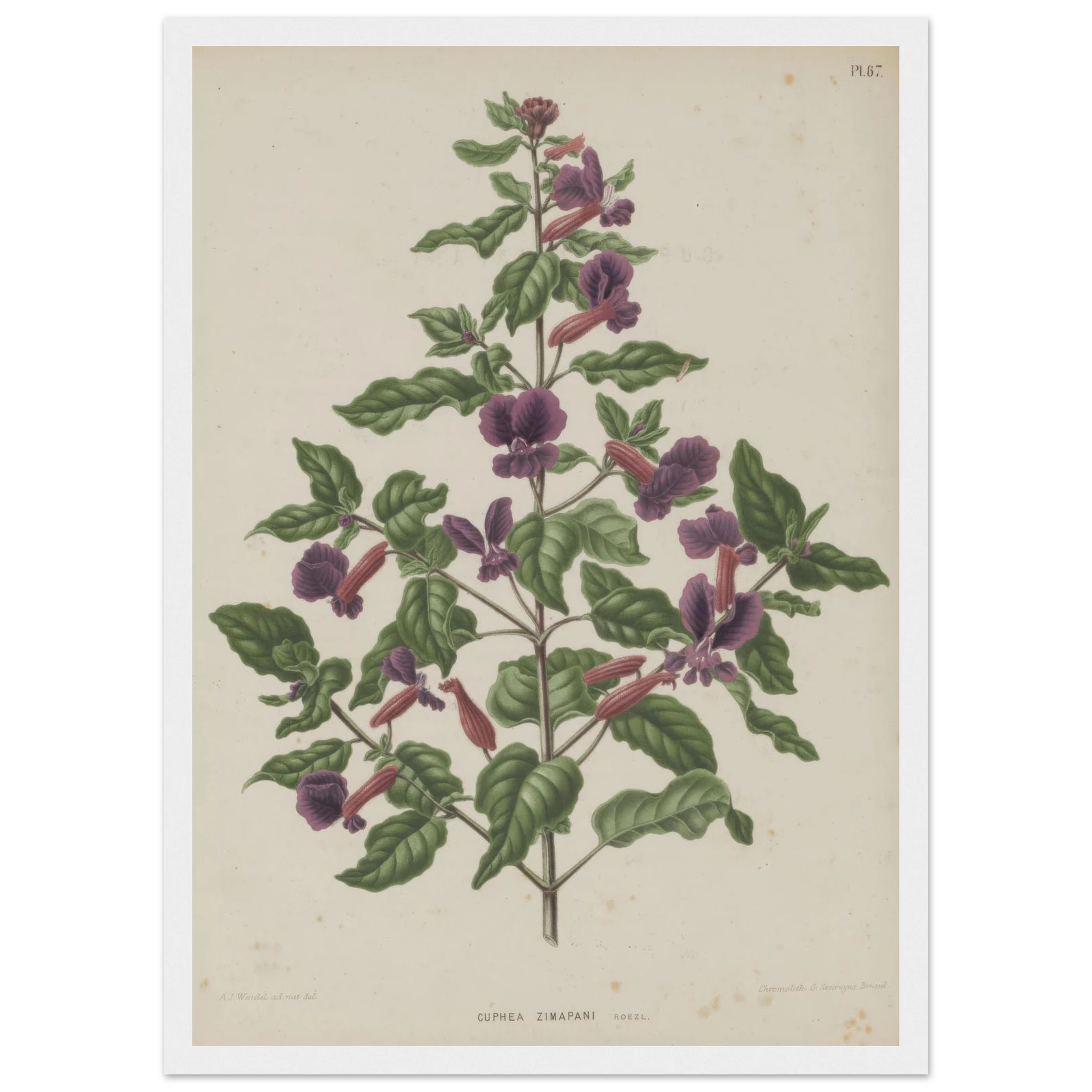 f66267ad-3405-4165-aac9-891bc738f234