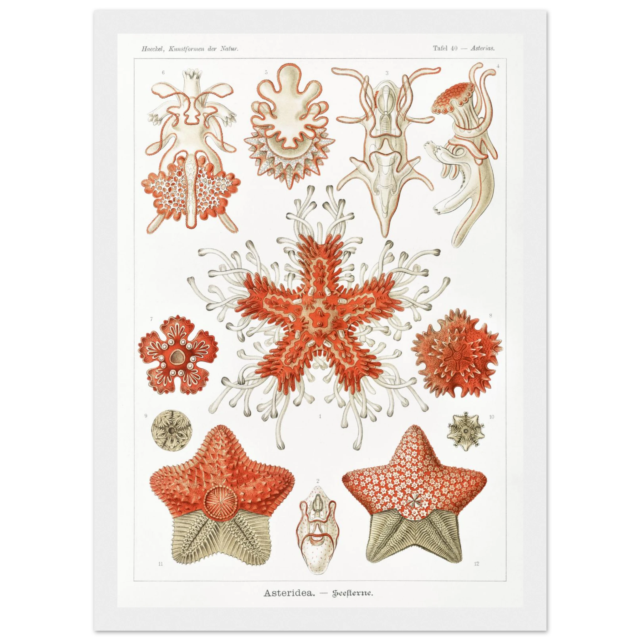 f7466206-9347-42e1-8e30-168ba567e6de