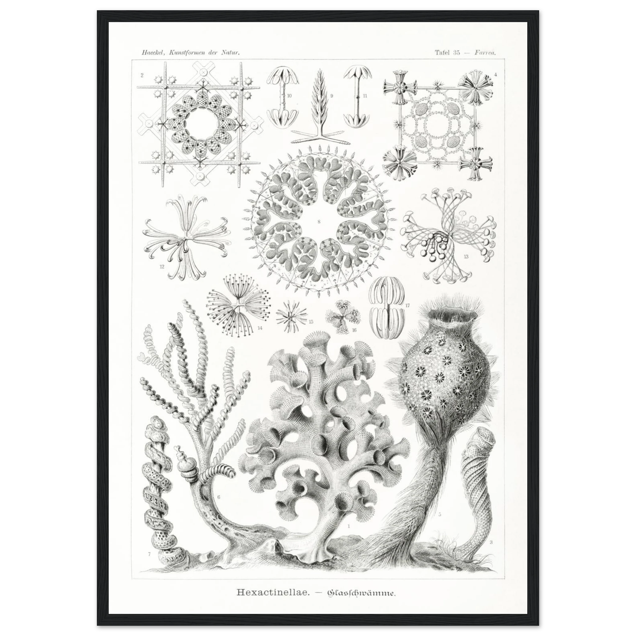 f74ef1fa-e8cd-4ea0-bb00-9f0738bf83e8