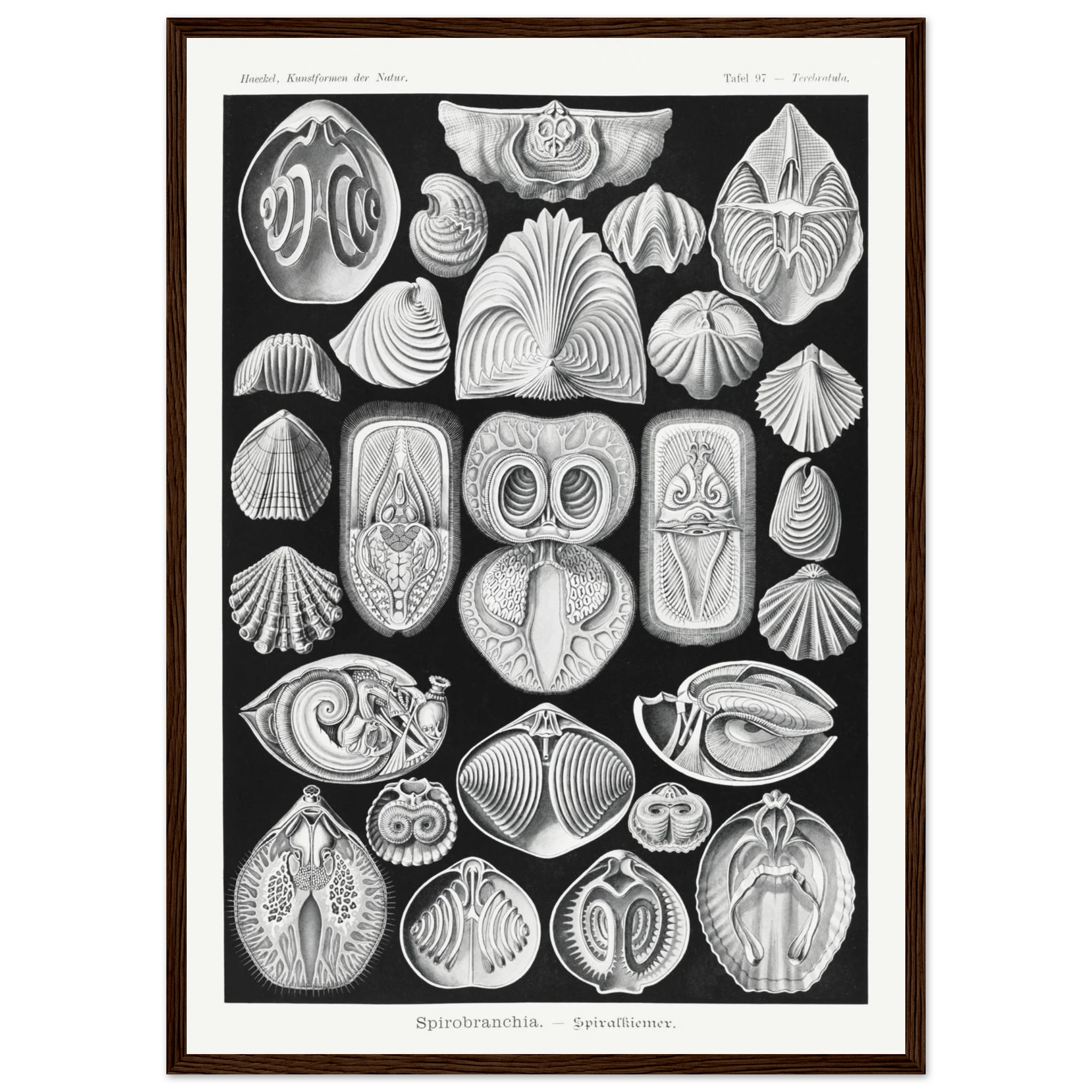 f78bb8d9-2e77-4f64-8c91-9f9b93fbe03a