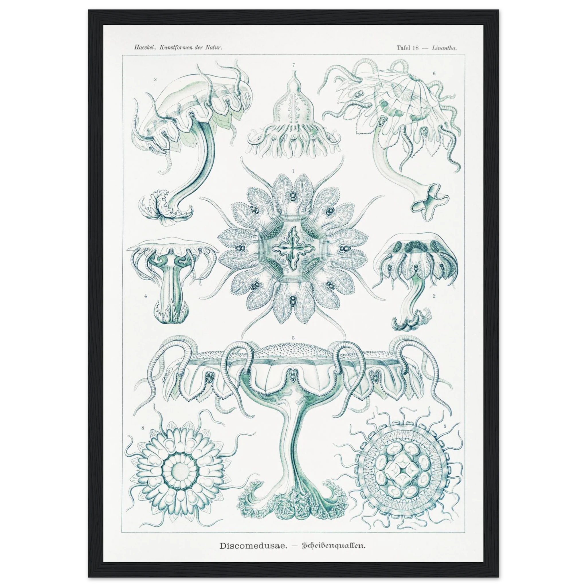 f78c7cdf-2ff1-4ddc-a26c-fe76faddf3eb