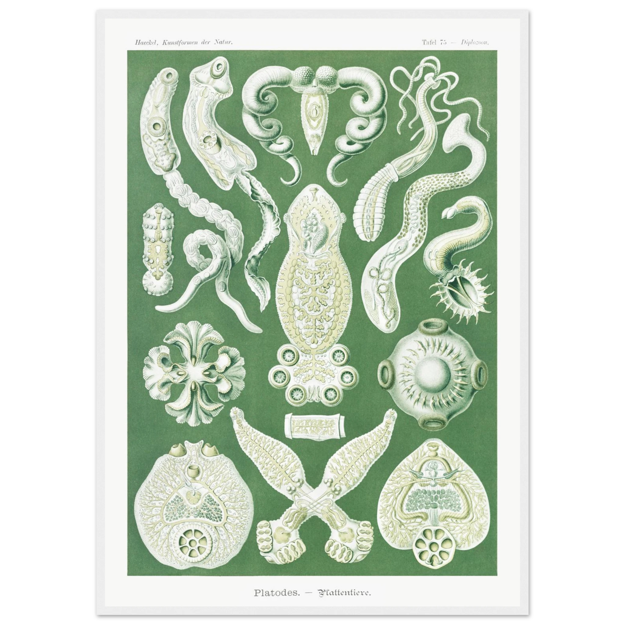 f78eb0ca-8b27-4c58-aafc-1194cb2bb29b