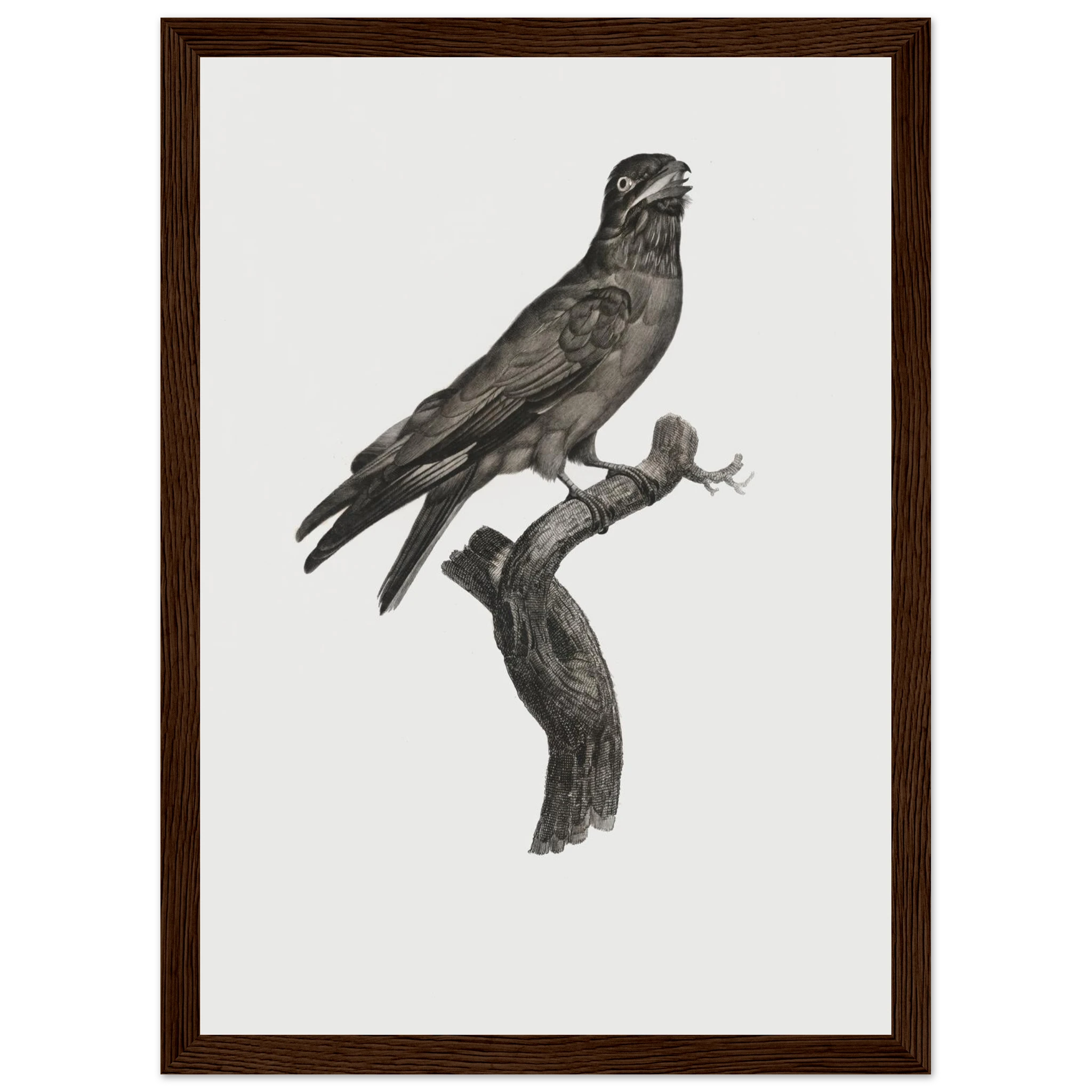 f79cffaa-6969-488f-b00a-9a5e6598ca02