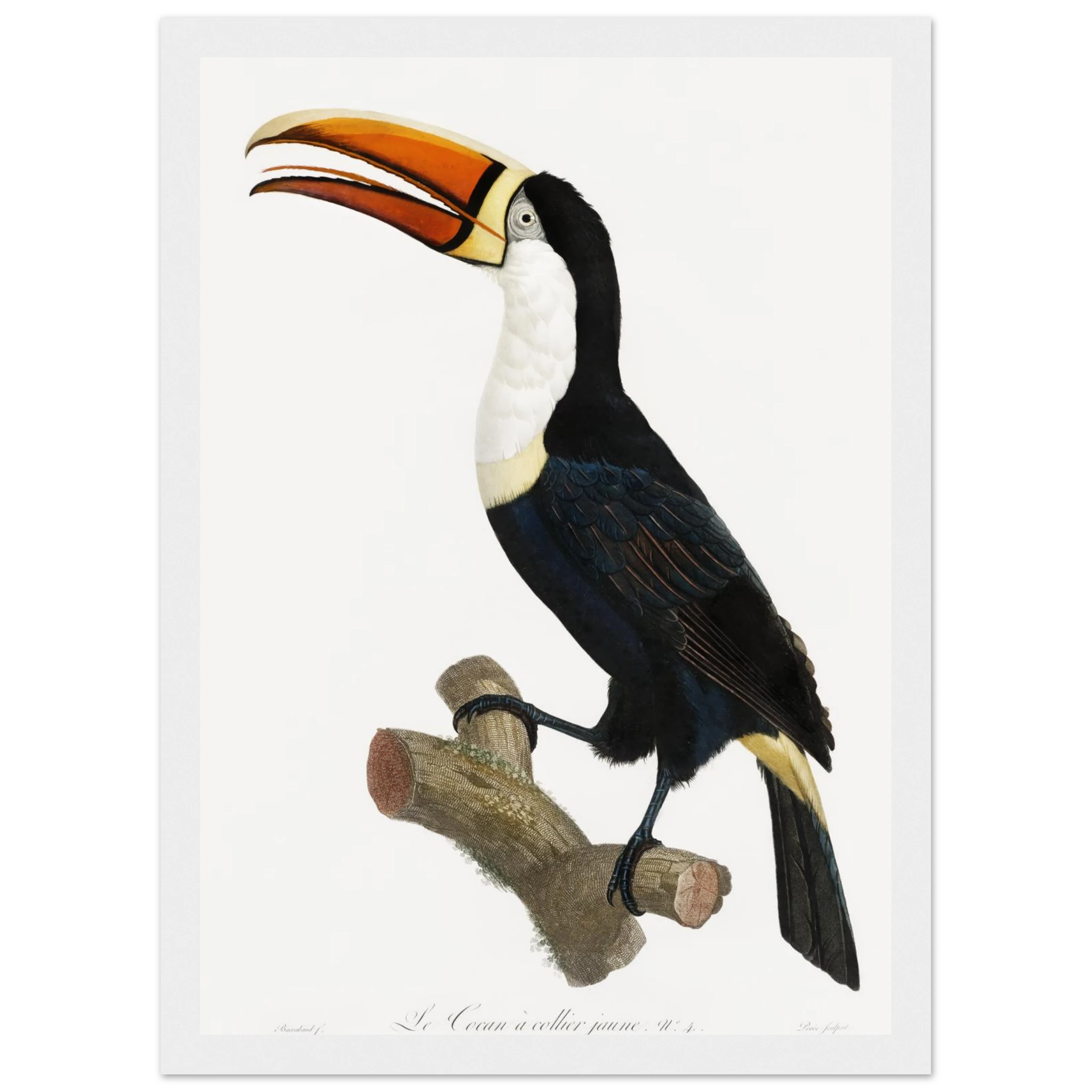 f7f804a1-6622-4d59-9cb1-82c6319de95c