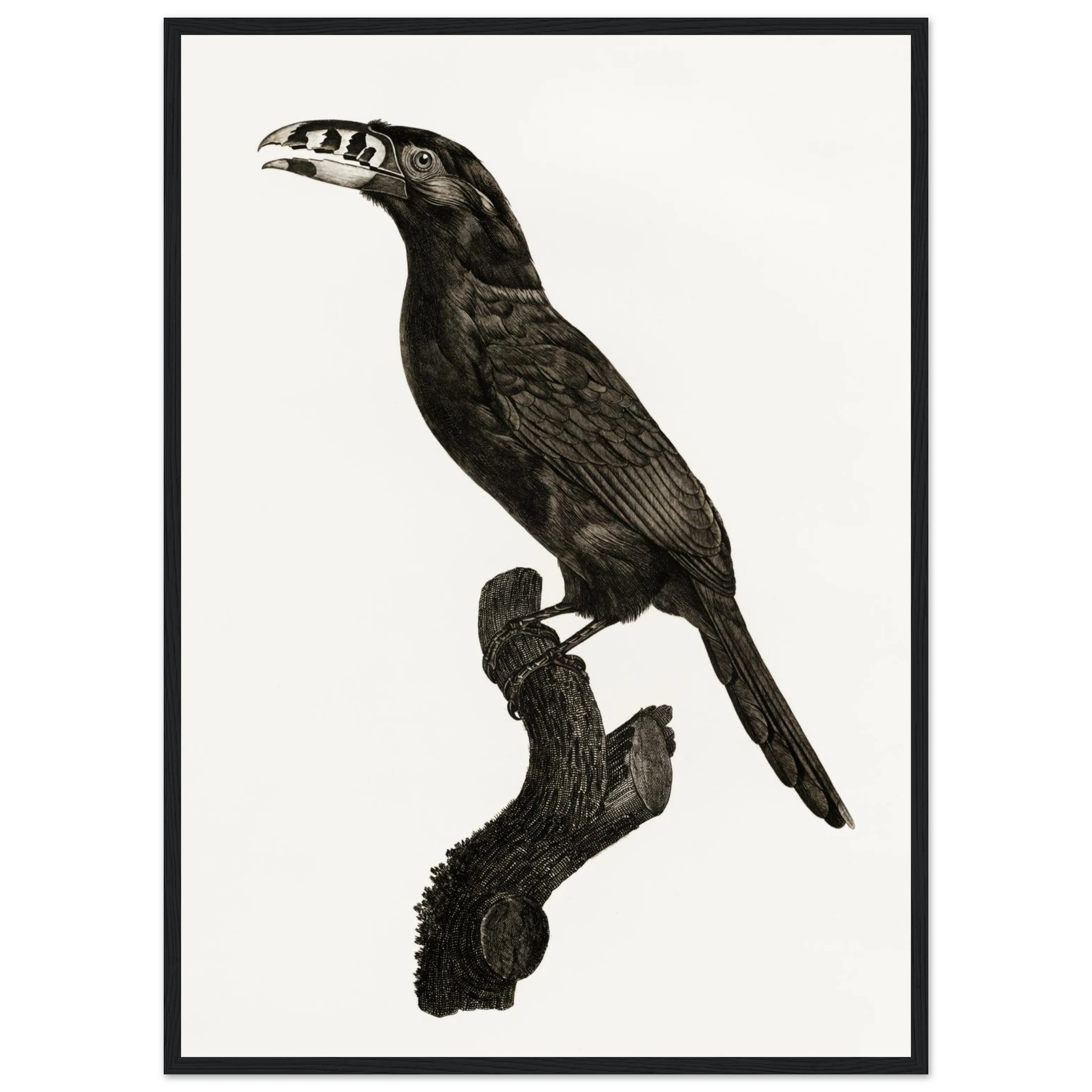 f8017360-d5d5-4a05-b607-c318ca172cd7