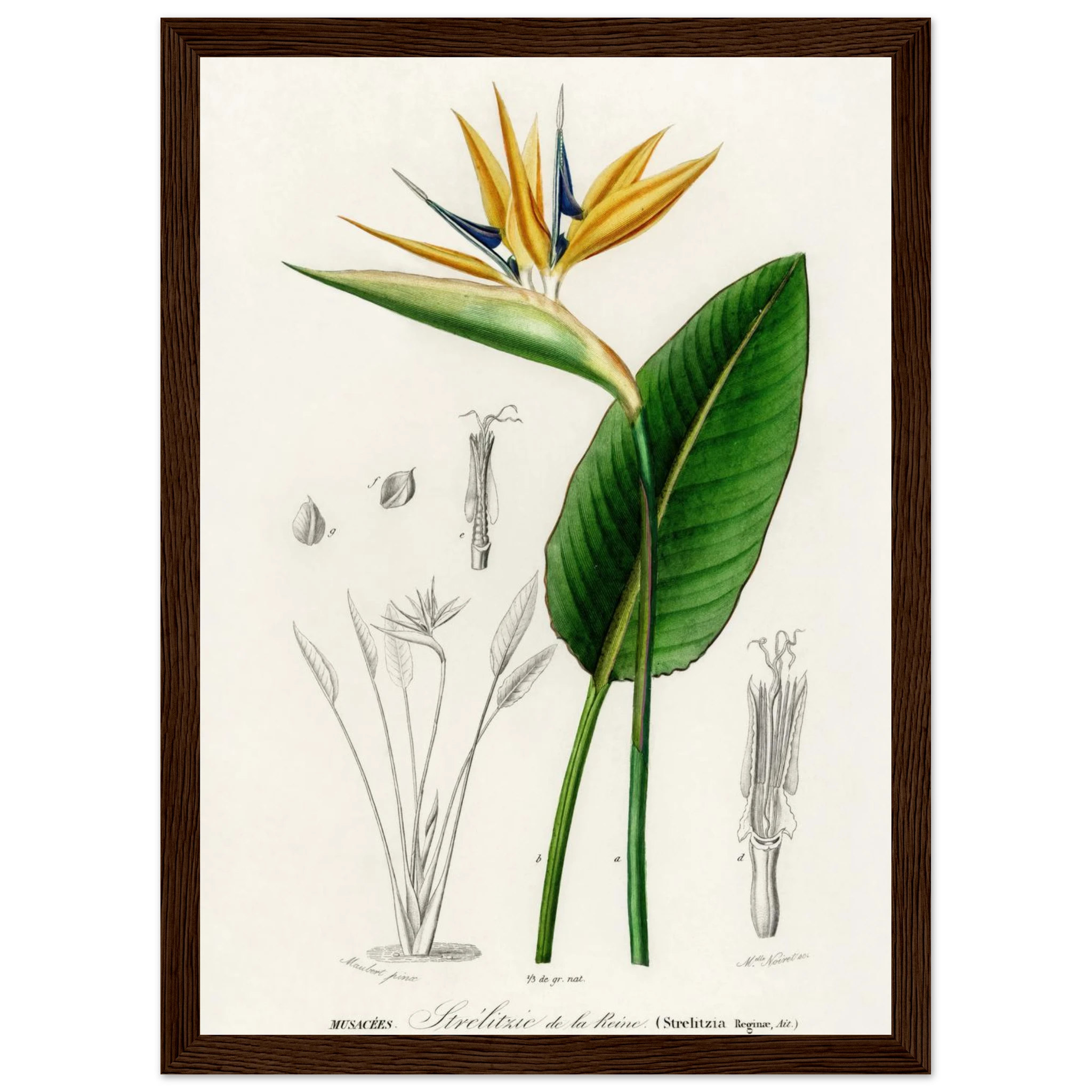 f8650f7d-88ee-4802-a500-854b12422cba