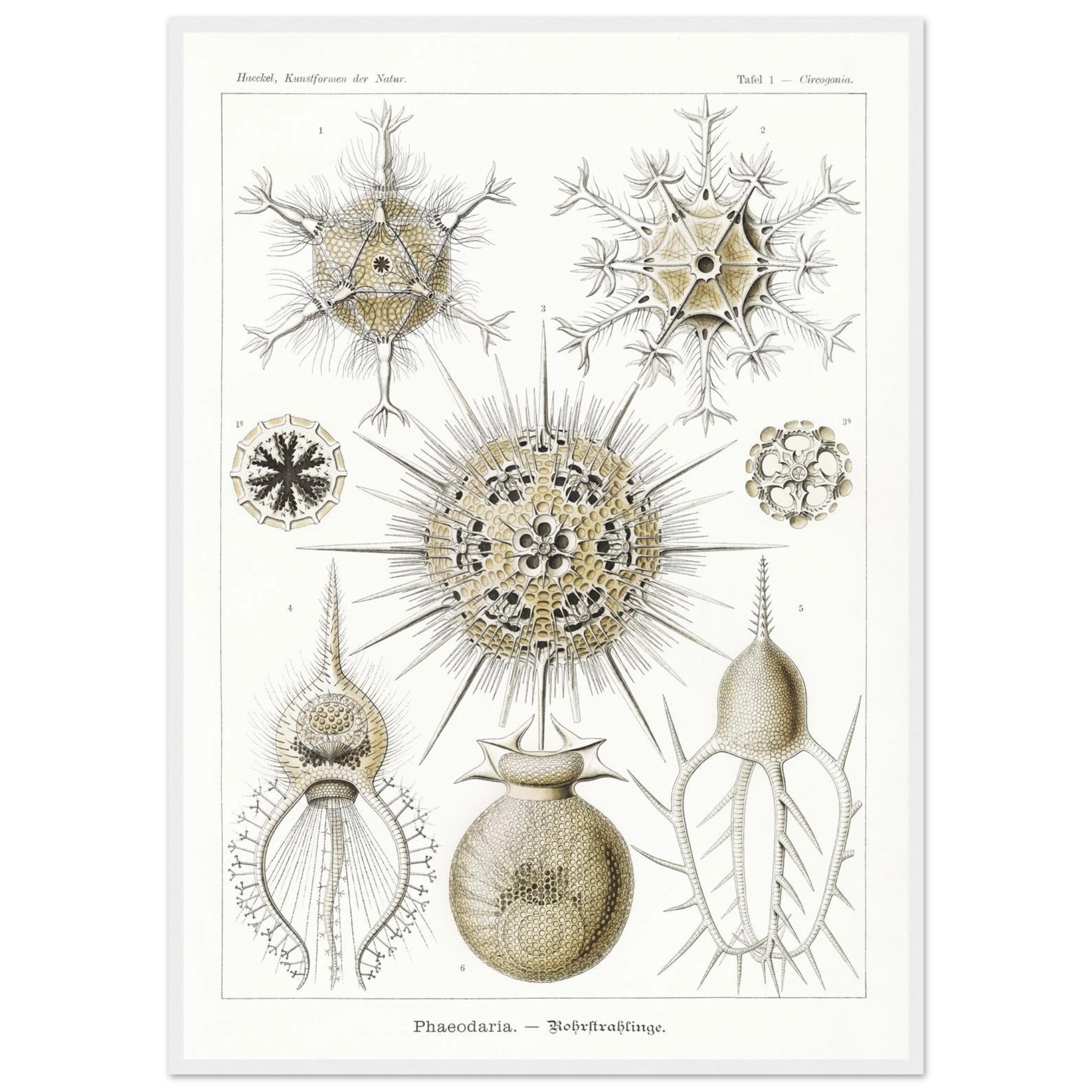 f8f75cbb-c181-4872-a77f-cbb278b23109