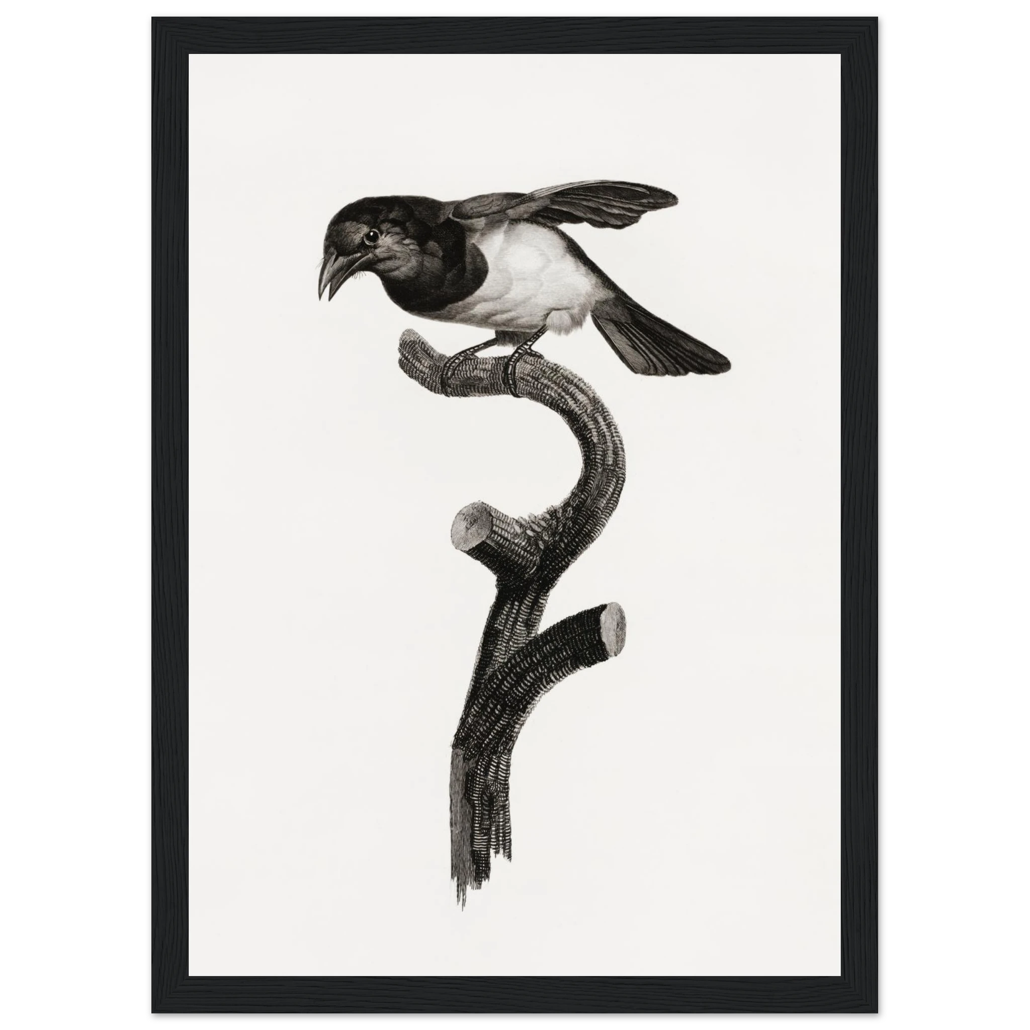 f9021e61-7e9d-4b27-909e-e979de6ff037