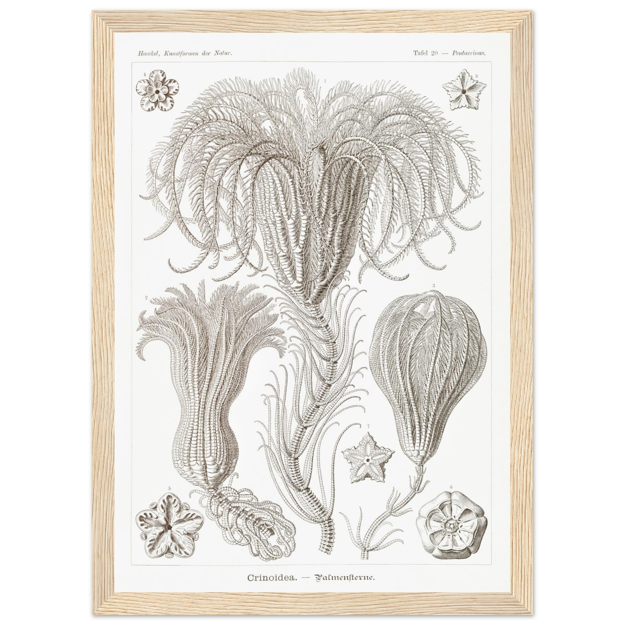 f9288abb-b6f3-422a-b541-2a5138e86a40