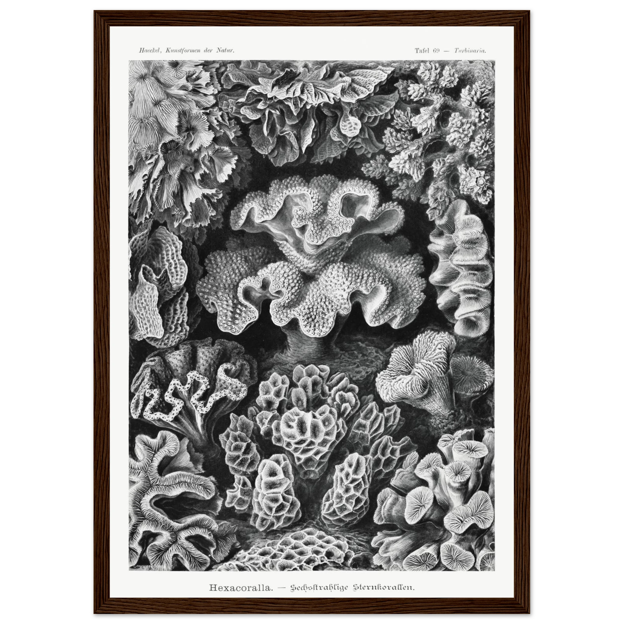 f94ff173-7e10-49b4-acd1-2d5fdf51992e