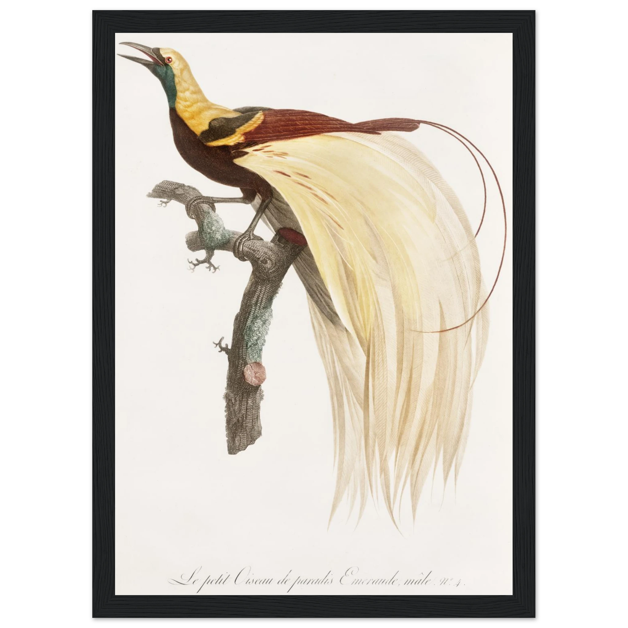 f95700e7-c746-4f16-bcc9-885d46bcd41e