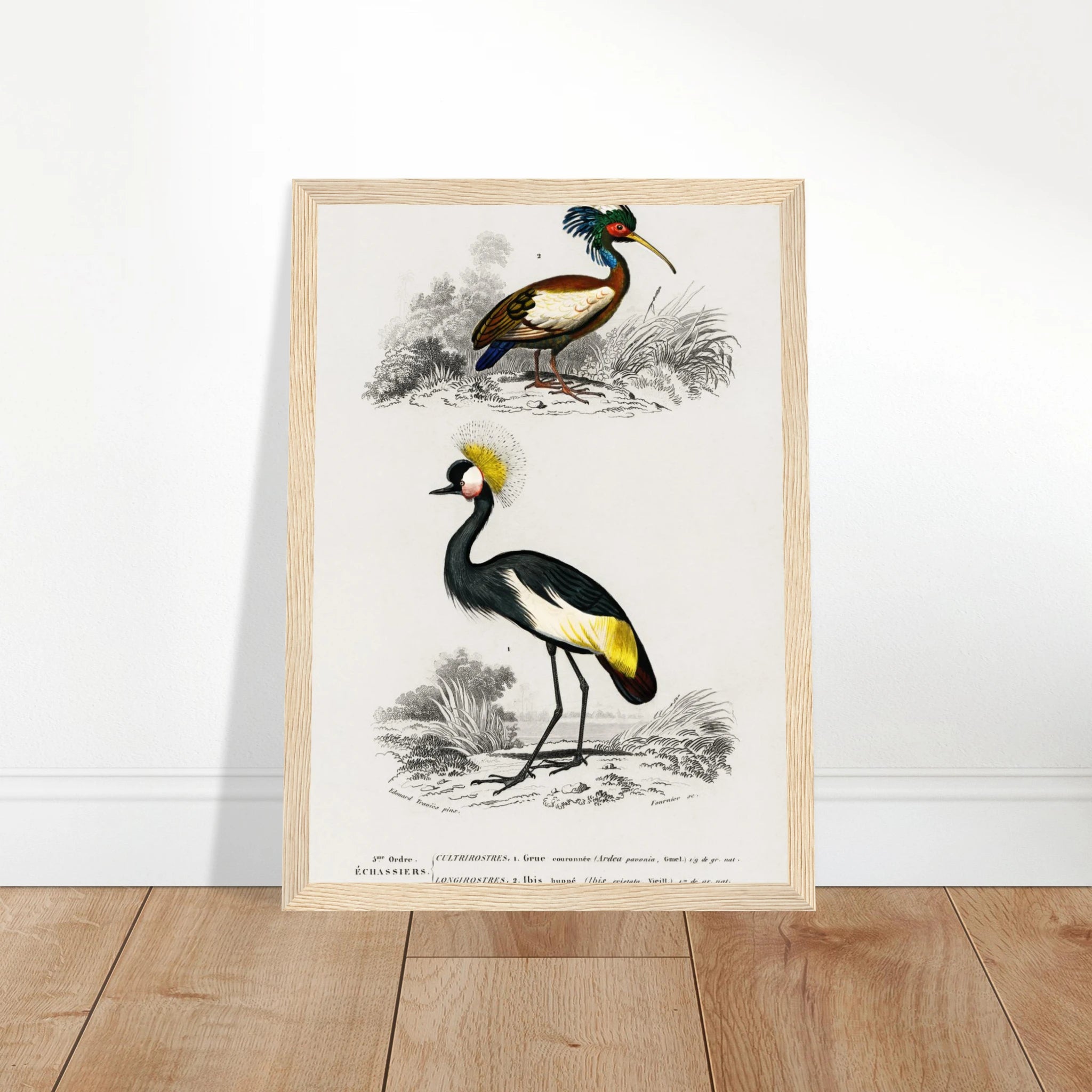 f9572355-dd64-4969-9e6a-58be357cbfb4