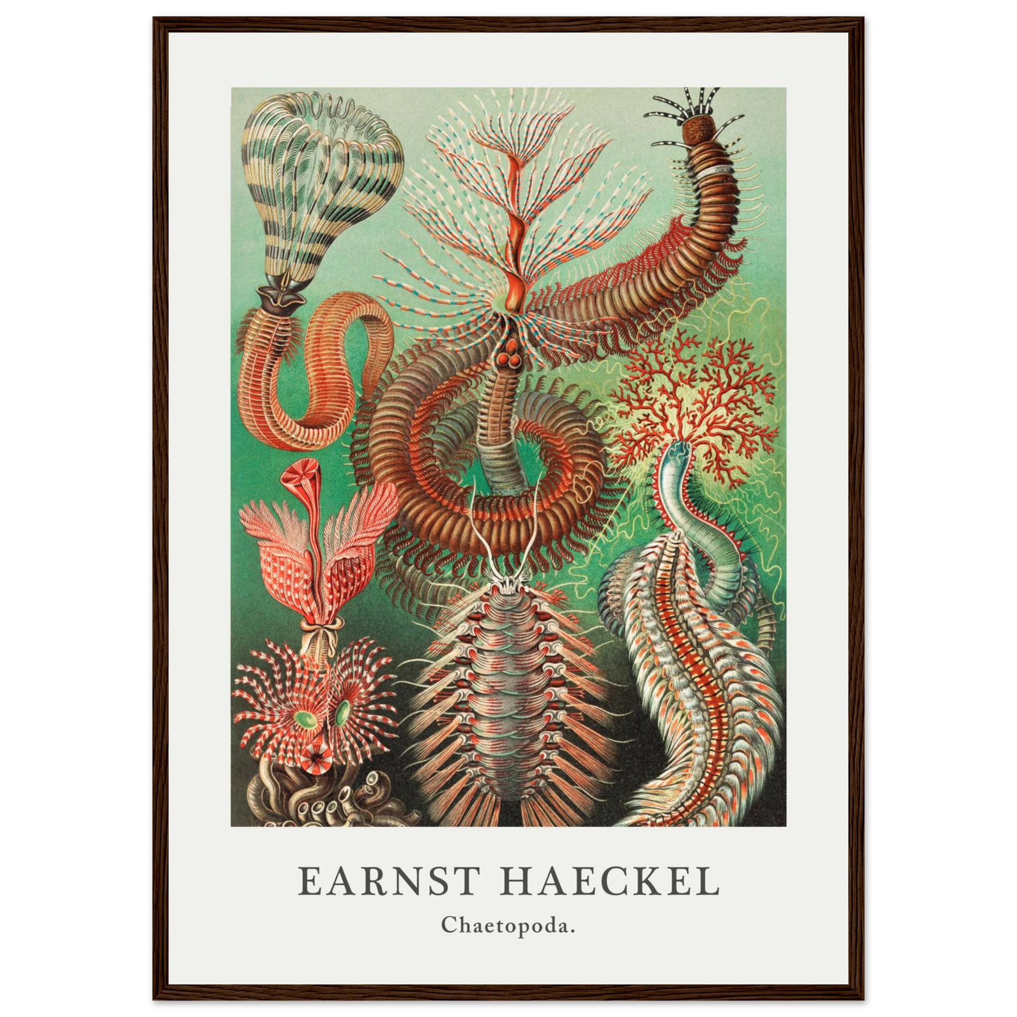 f9c1981b-4ea0-4d95-a765-6ec710040028