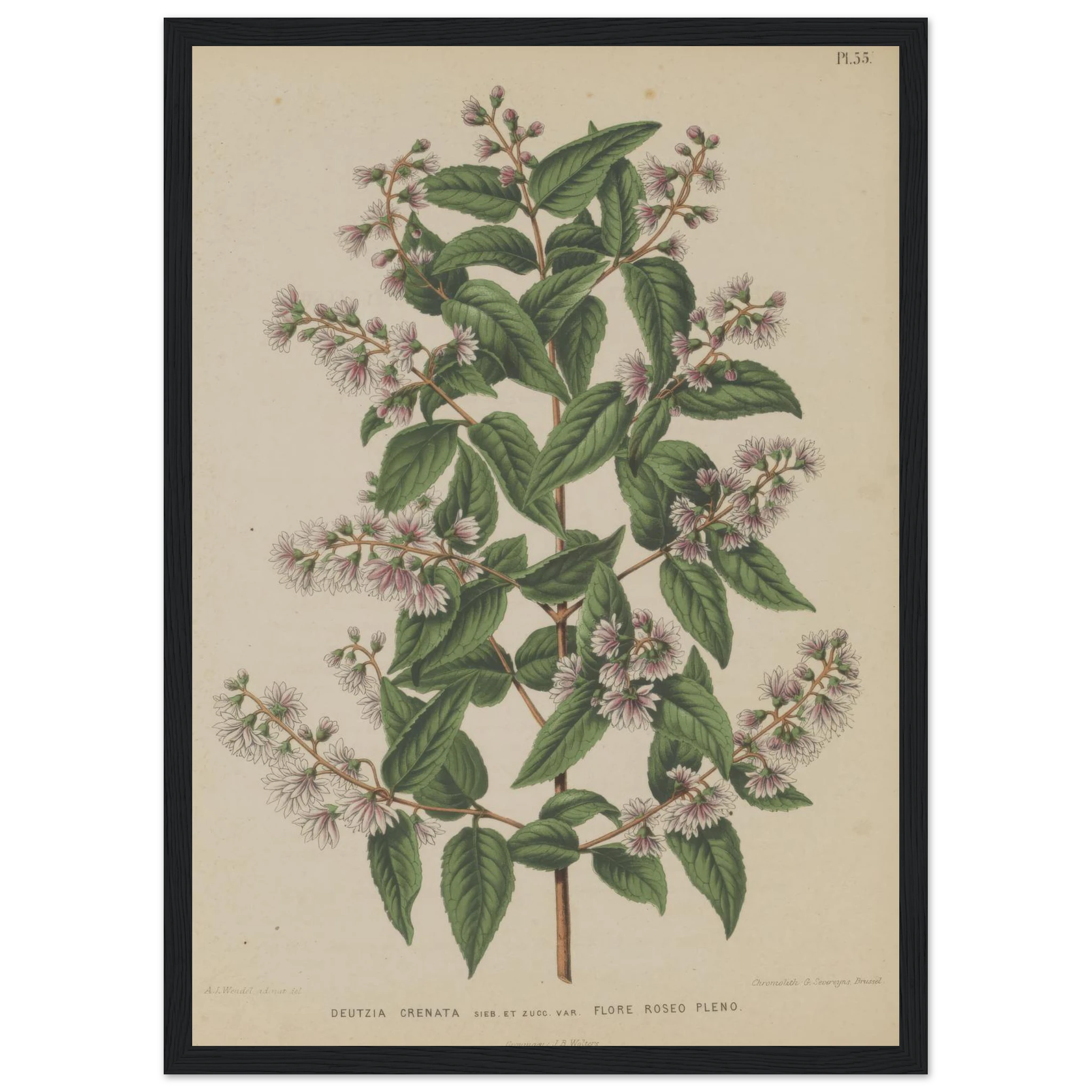 fa00e6d3-cdc2-48a1-b314-bd28905dbafe