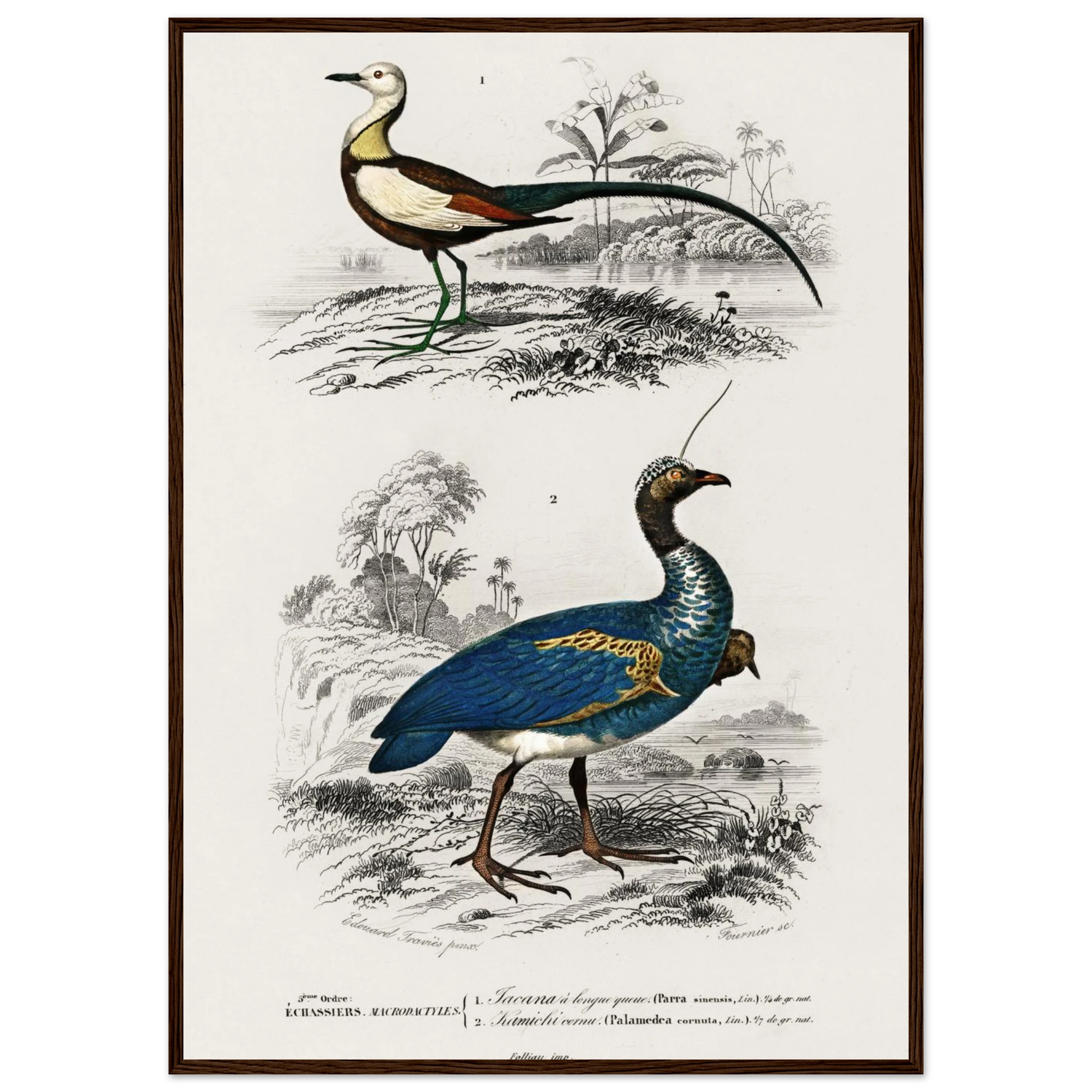 fa226645-5663-4095-9419-09bb29d087e2