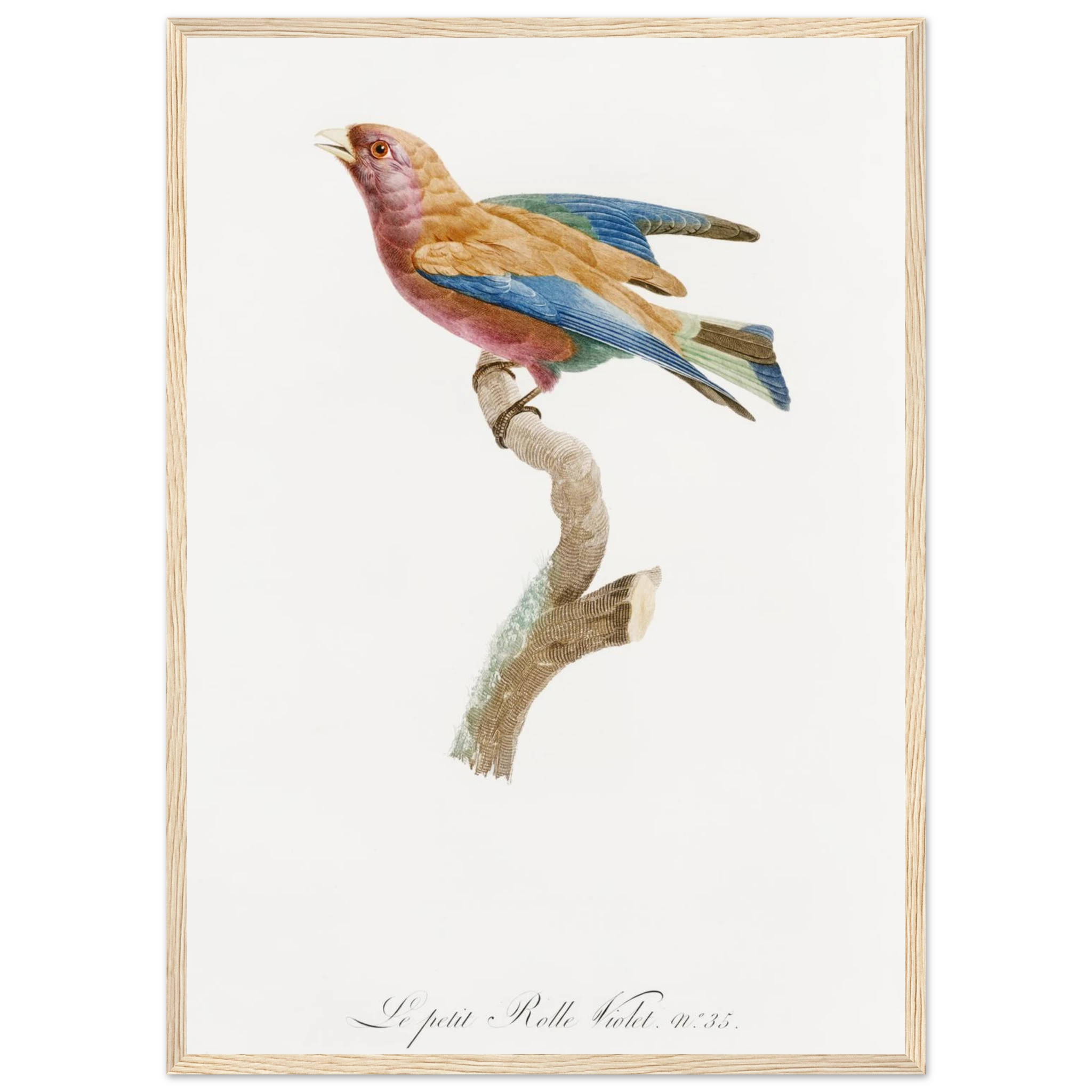 fa4b9436-d31c-4345-b4fc-9ee55e4f8177