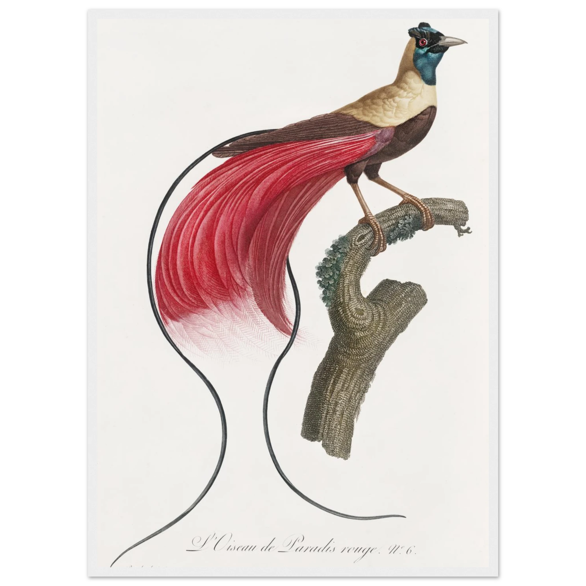 fa63224c-c684-484c-83b0-06ace7328ef1