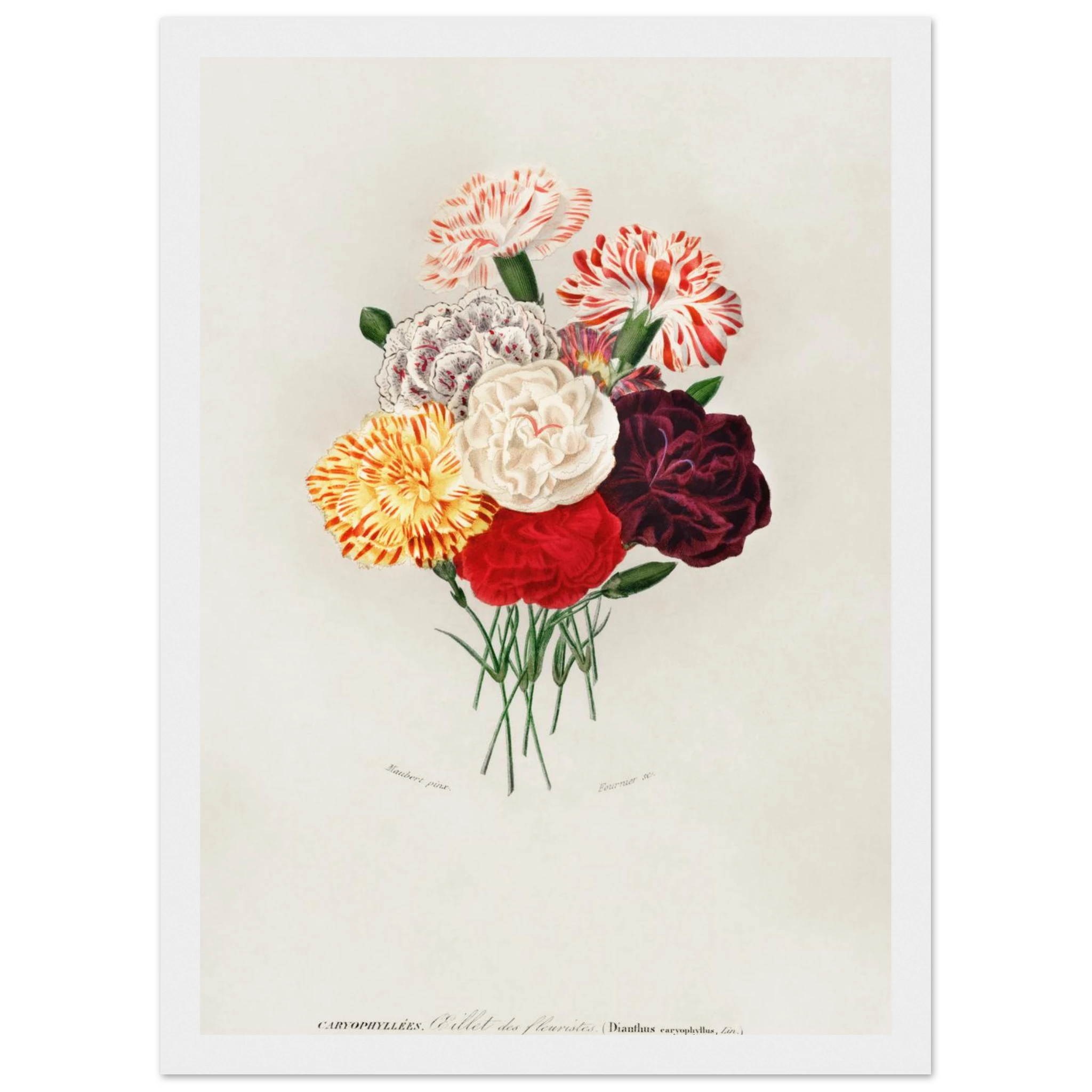 fa652a39-58d7-4b58-90e9-d860b3b03933