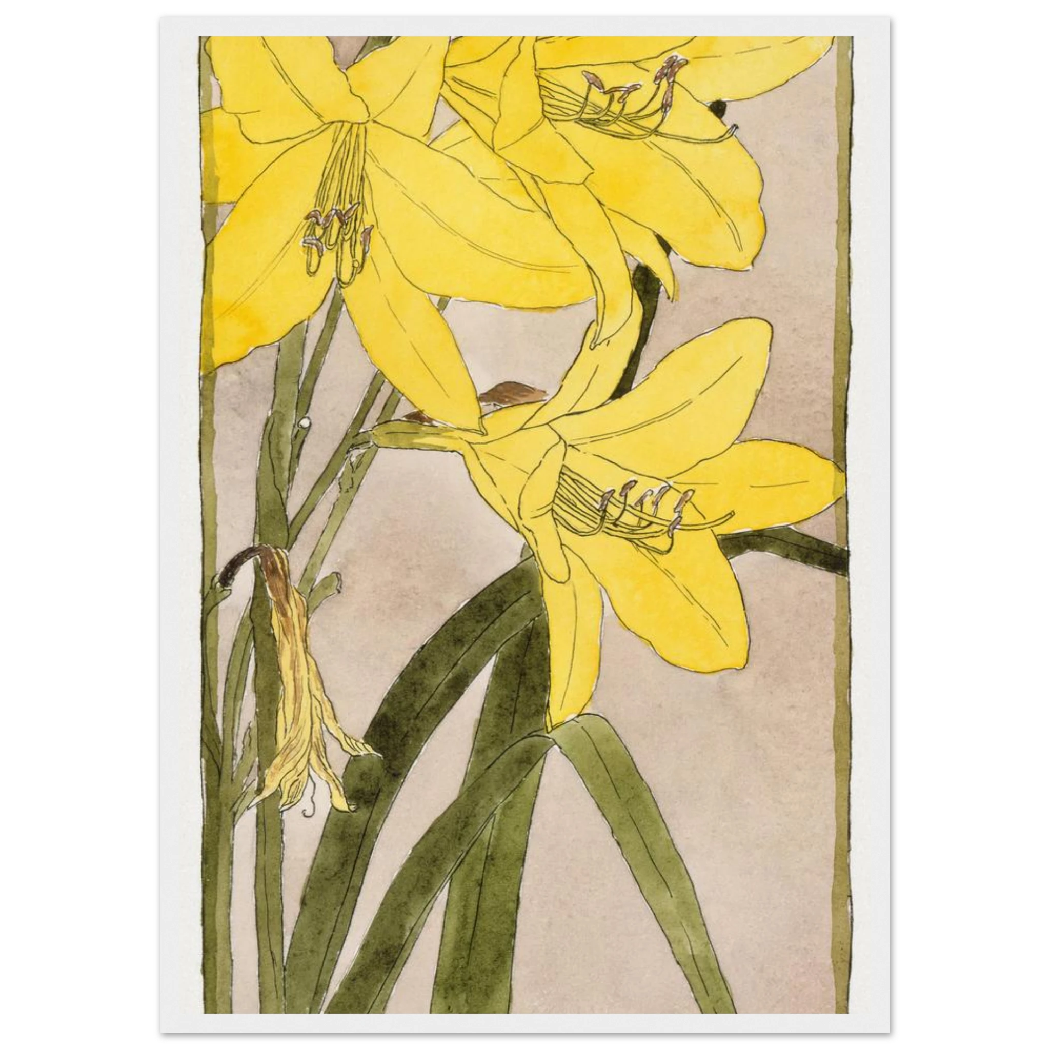 fa69165d-68ba-47b6-aecf-4b3ec069c483