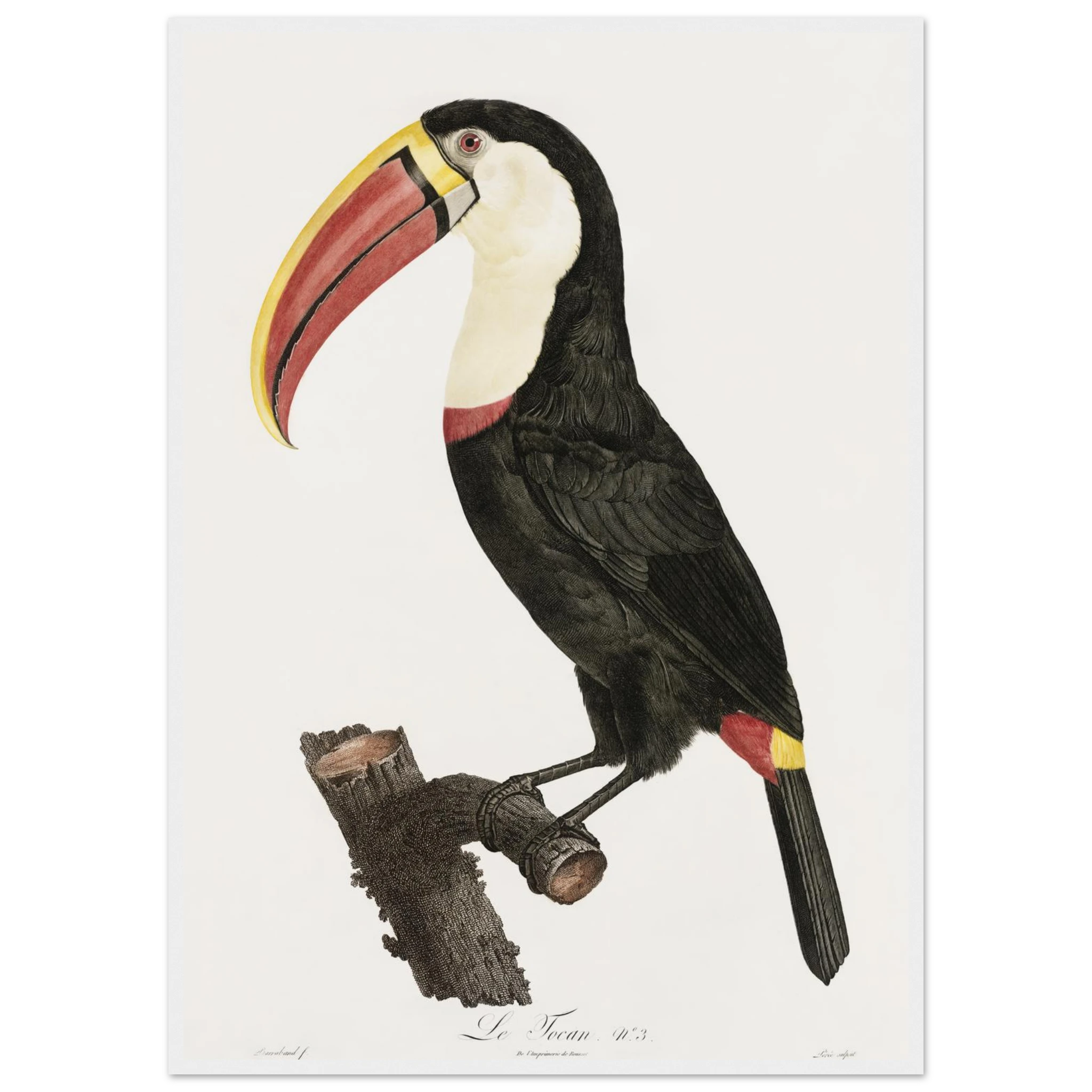 fa74f68b-123e-4035-95fd-9af2cce88a21