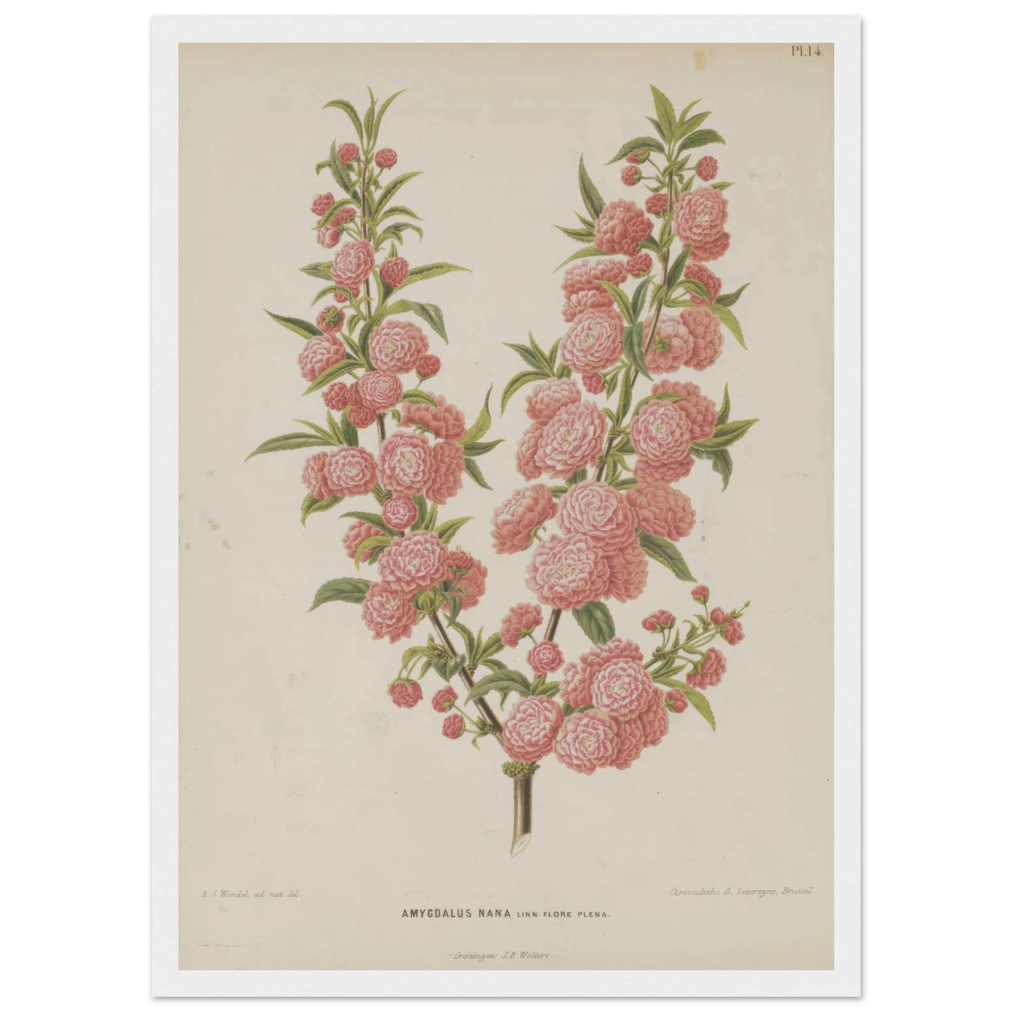 fa8d9f93-18bf-4a4b-8cd4-4a2dfd48a86d