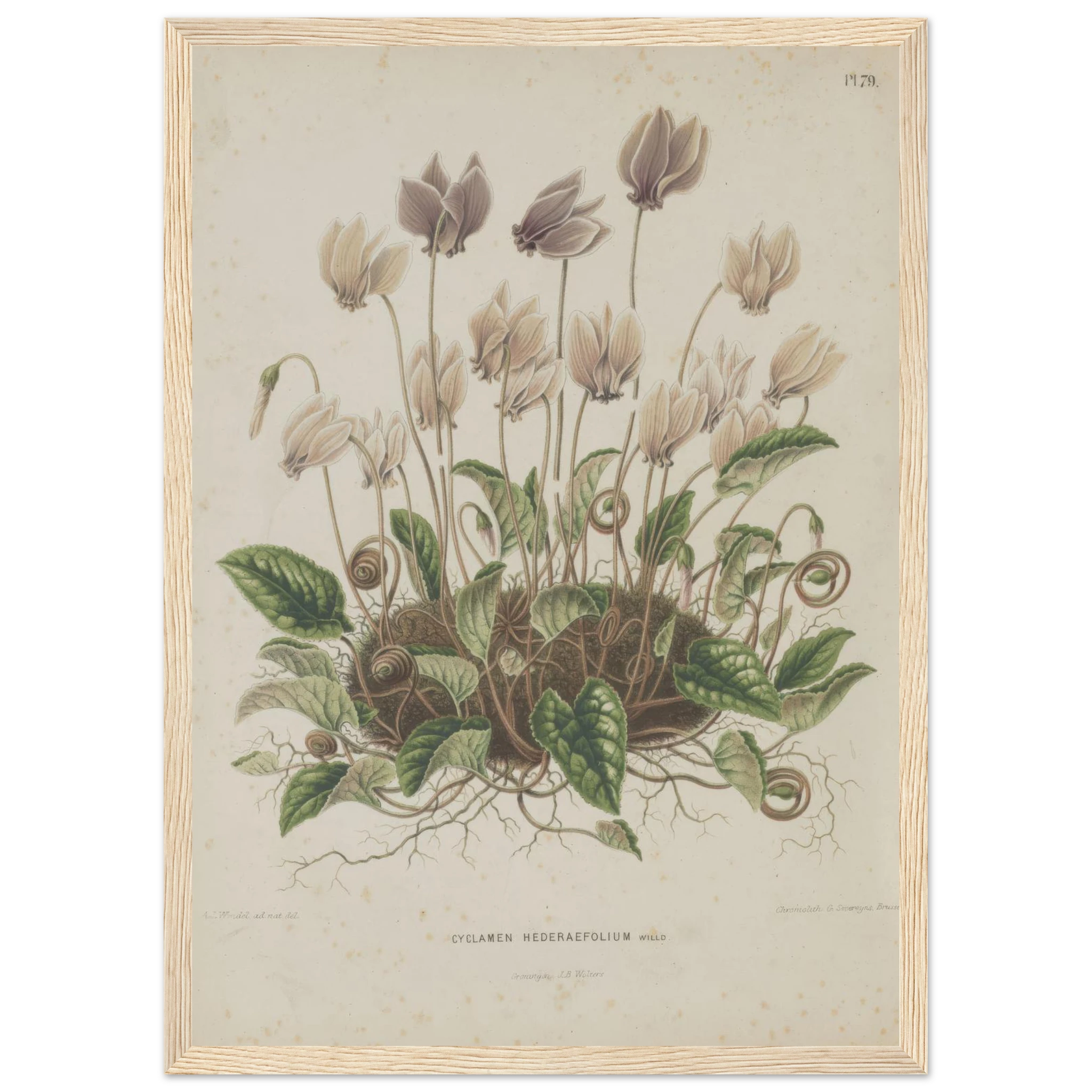 faa19a51-594b-4721-8a68-fe3c14595cbc