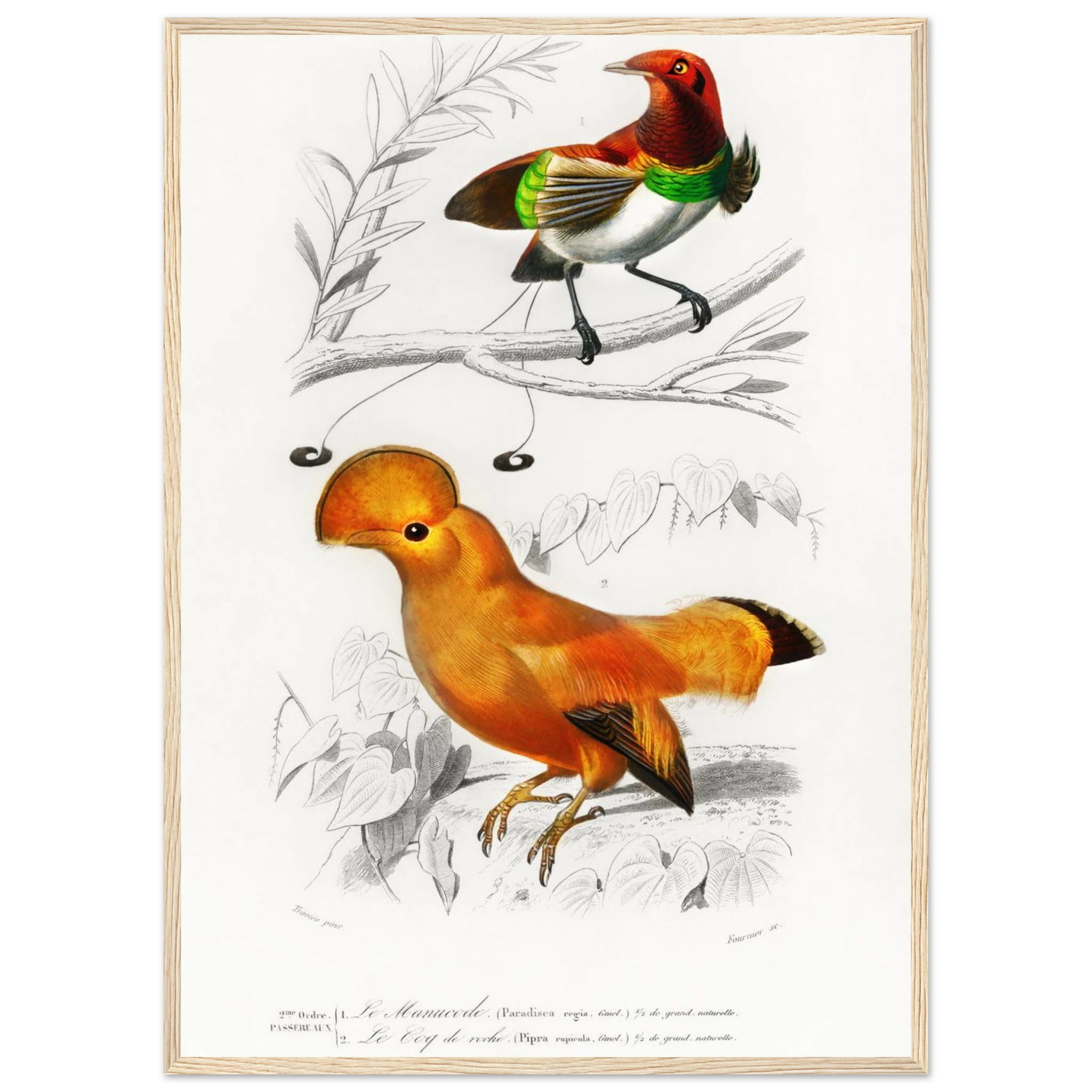 fb00d43a-23d0-48b9-828e-2767fb910fbd