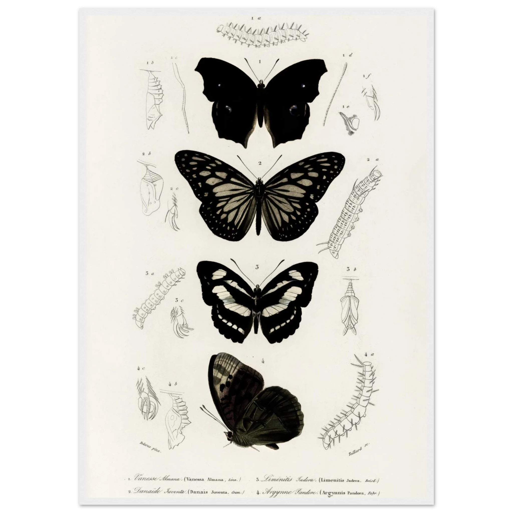 fb05b7d3-aa87-4541-b0e4-ea4df0bdcda6