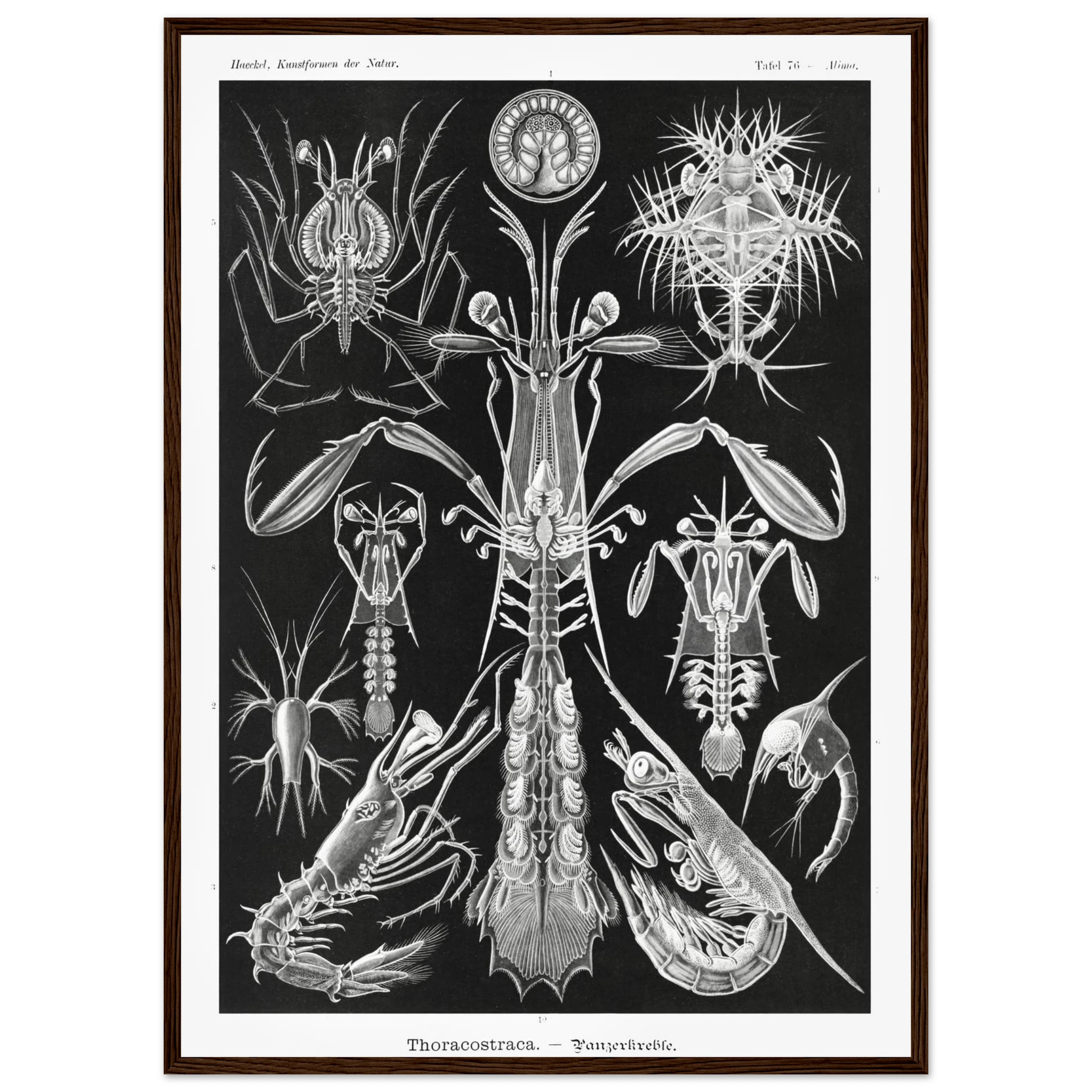 fb5f57cc-cc61-4c72-906e-6dd8e6c50976