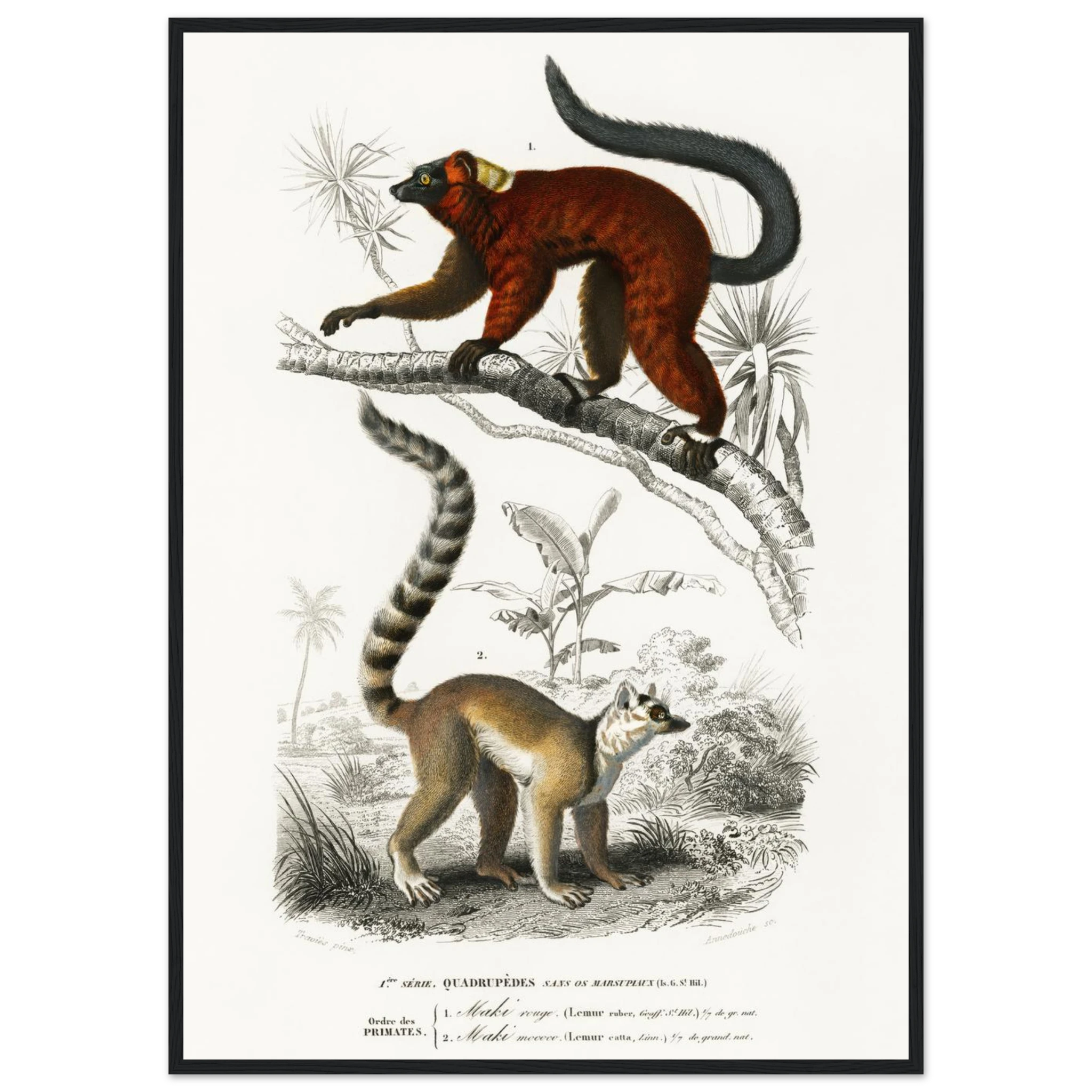 fba7d867-5195-494e-a703-a953380bea71