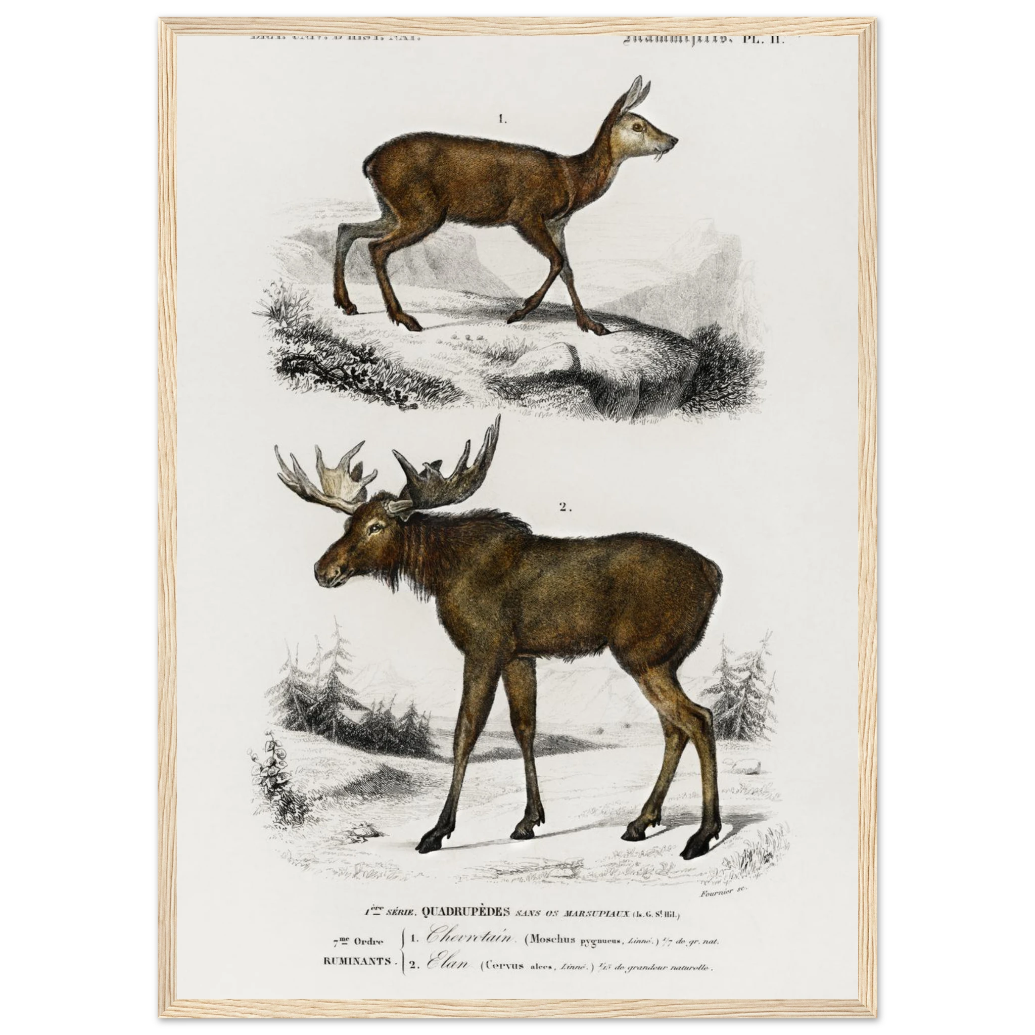 fc0d3559-578f-4332-8070-76277bc9a17c