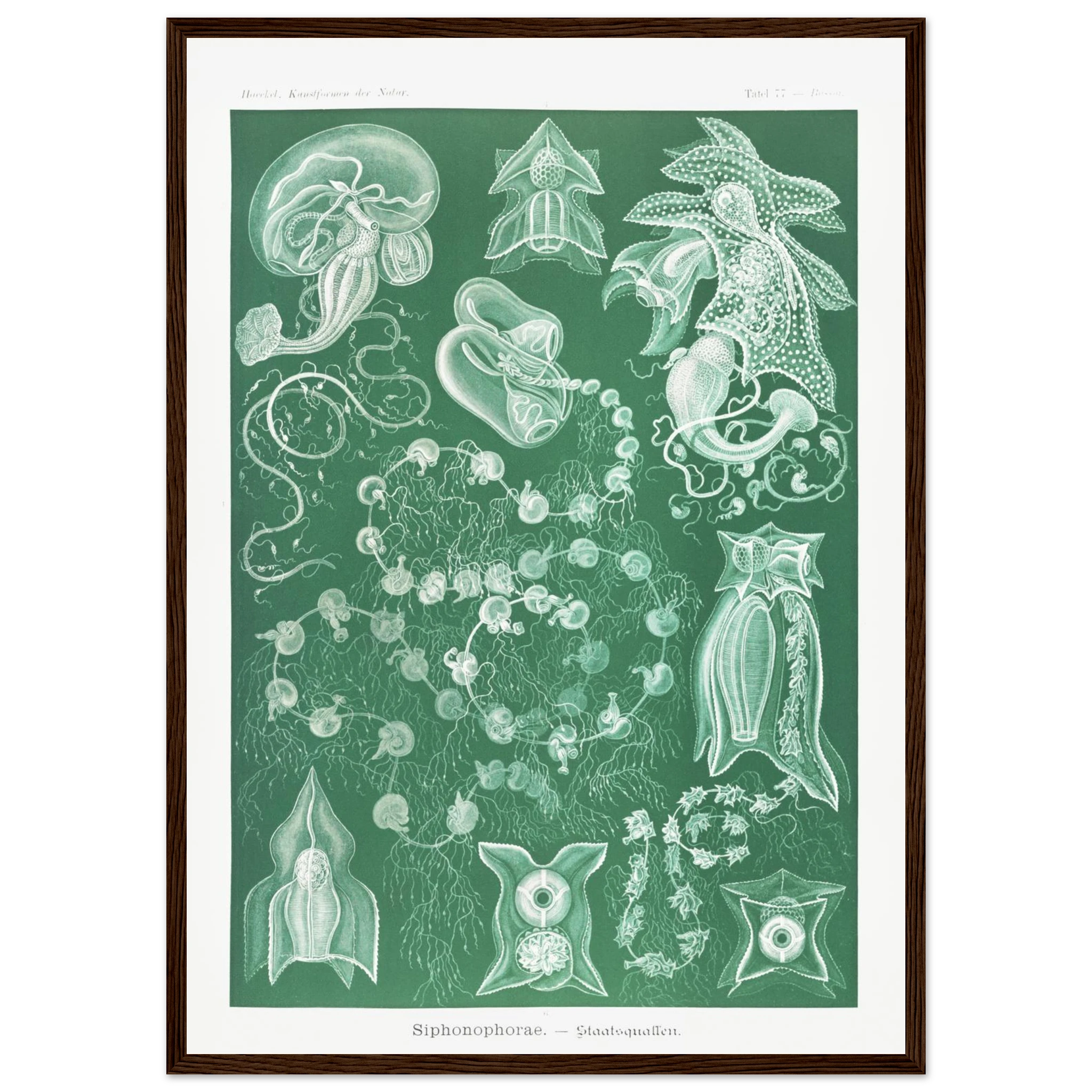 fc4dbceb-7373-4ca3-88bf-d71021103269