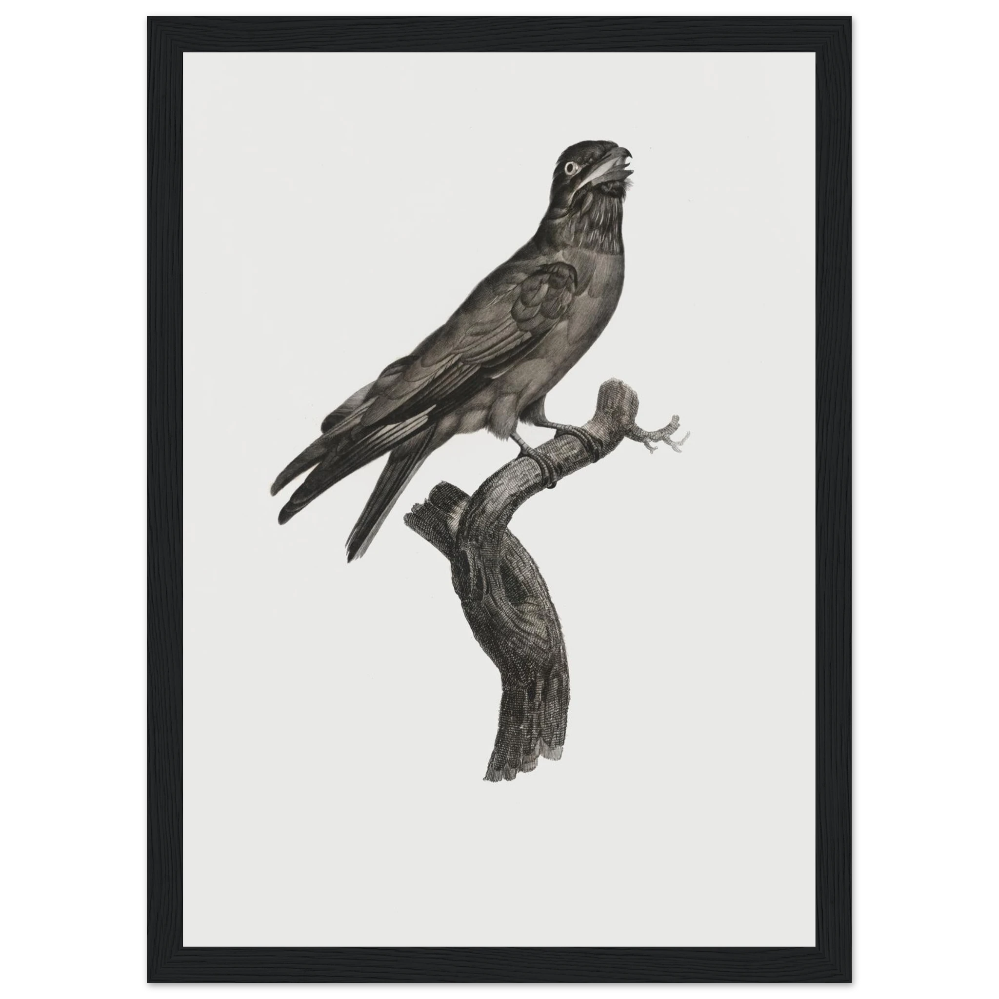 fcd7d28b-19e5-455d-8216-a47d1fadf269