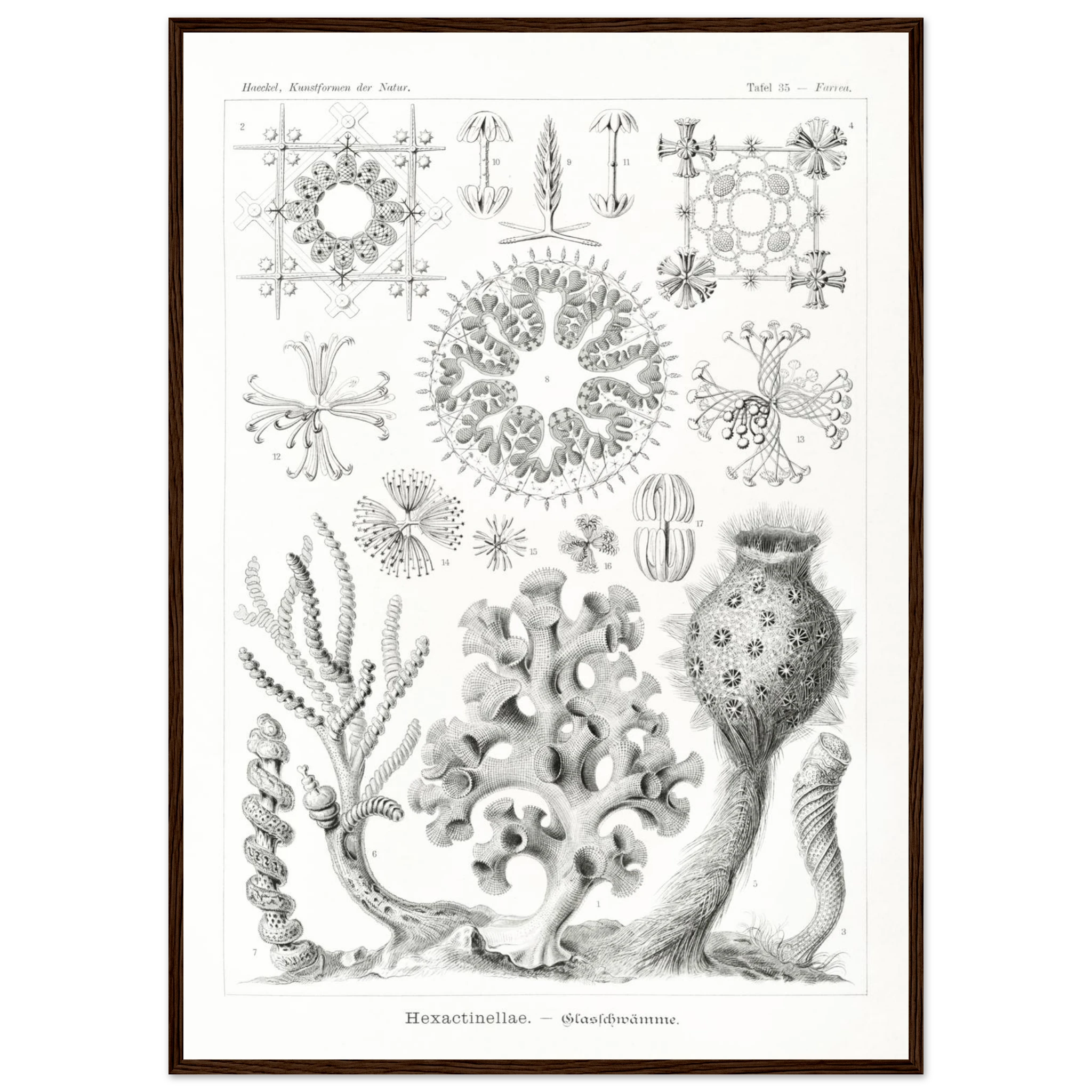 fceb5a8c-e3ed-4c24-a05c-4cfff27c4d56