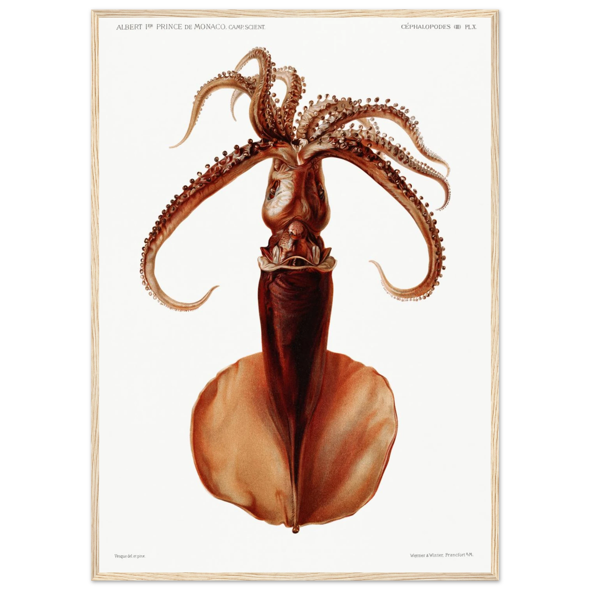 fd0463c9-3f12-4b33-ba33-5bf1764addaa