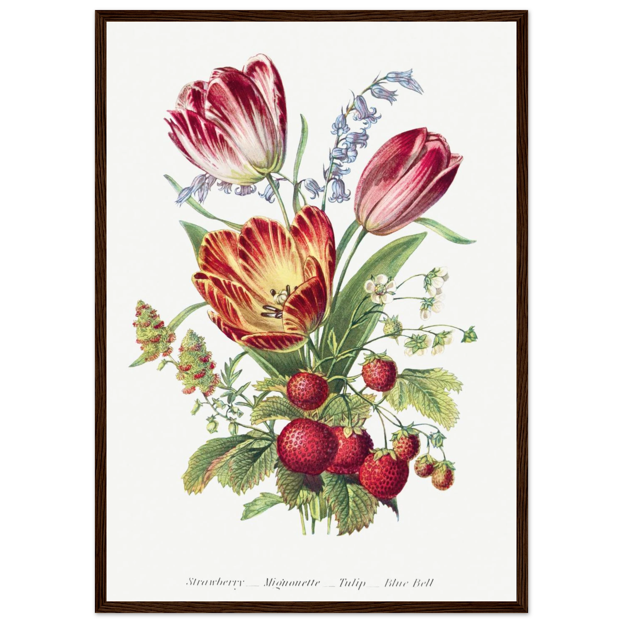 fd61e9c9-dd20-4a00-ba44-0a0bd88446f3