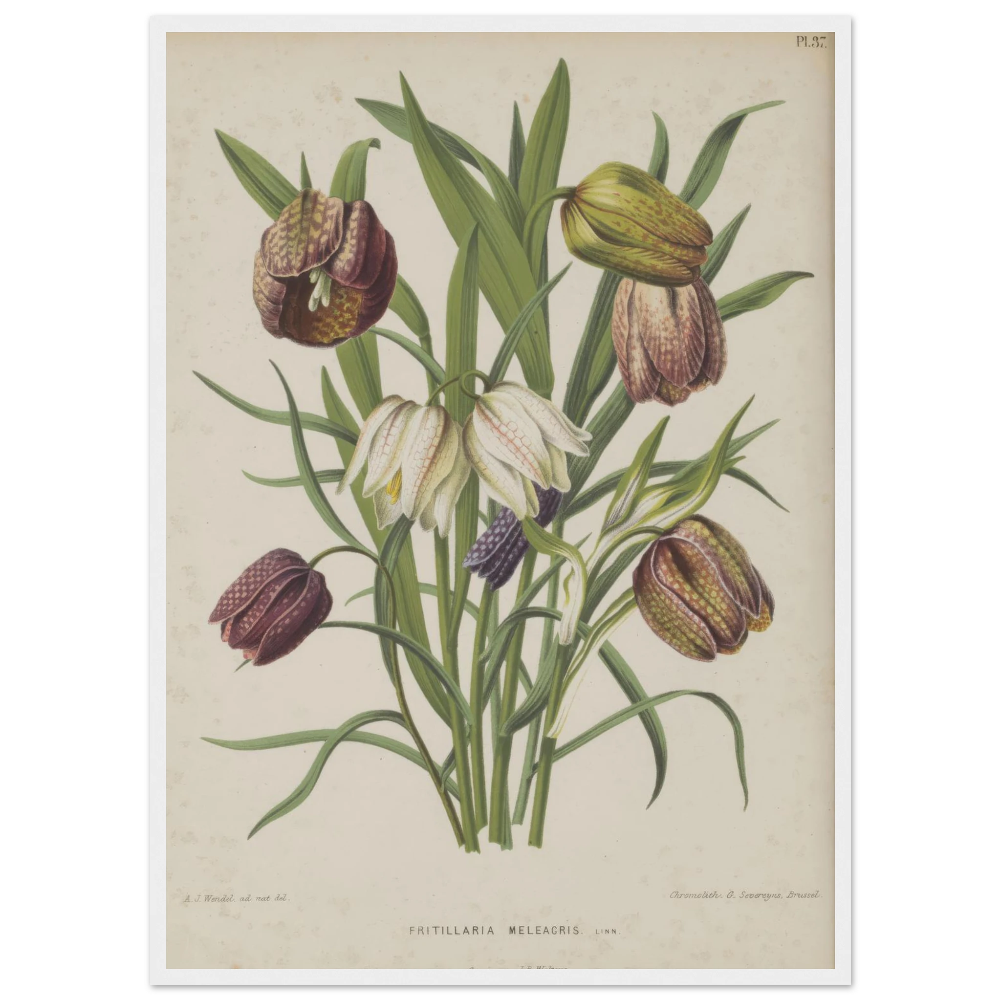 fdafcb4f-99a1-471e-9023-9d173966de35