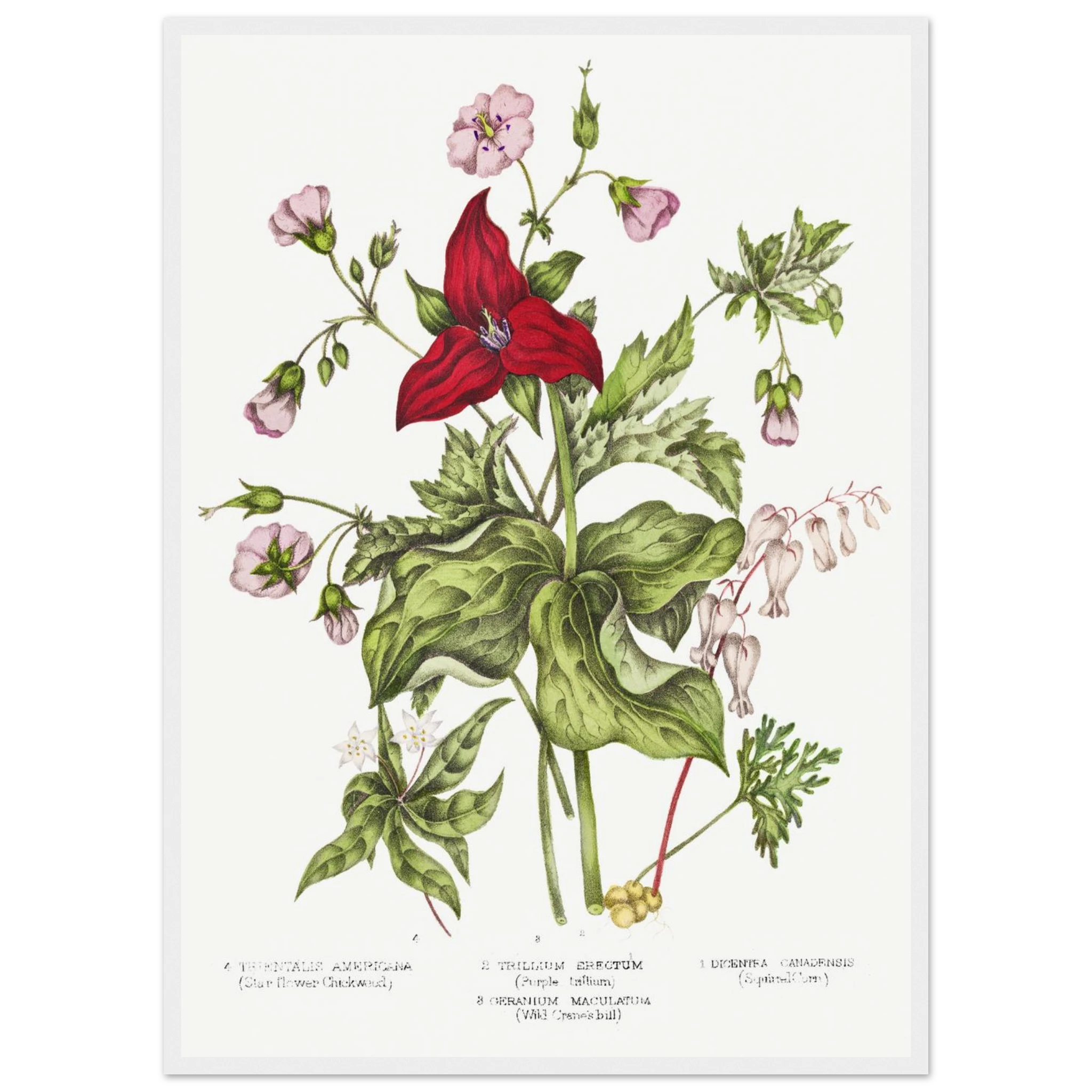 fdda5521-1603-4d59-bcce-111221100789