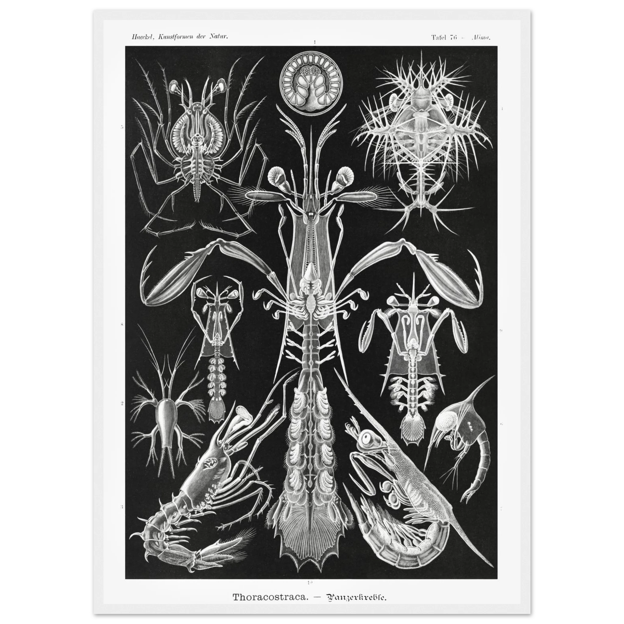 fdf83da9-56b4-4253-8296-a428d0ab3e31