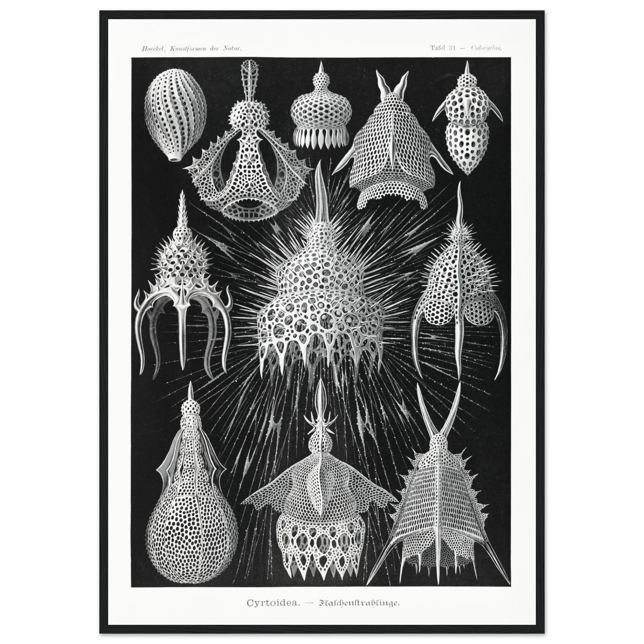 fe5002fe-1288-4190-8421-1e7e7181e9c9