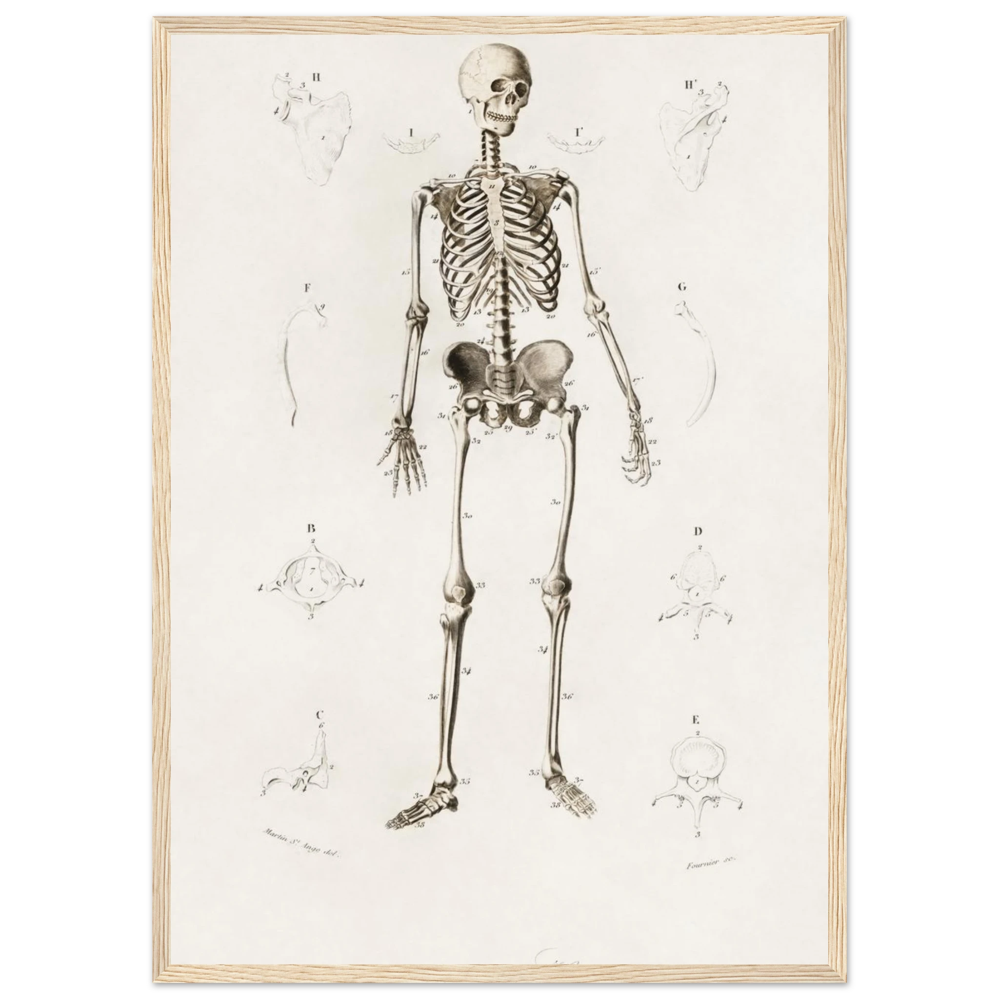 fe567e6a-73b6-4748-9609-2e80184aa9de