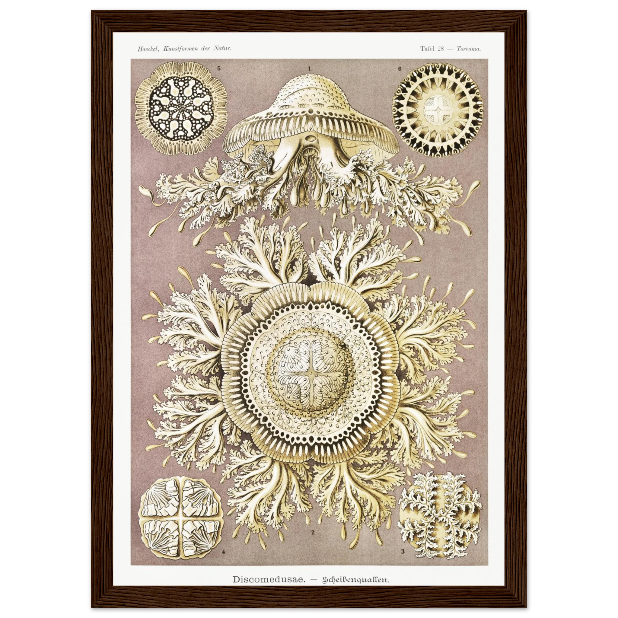 febf2483-a585-46f5-b59a-37dc19d7b17f