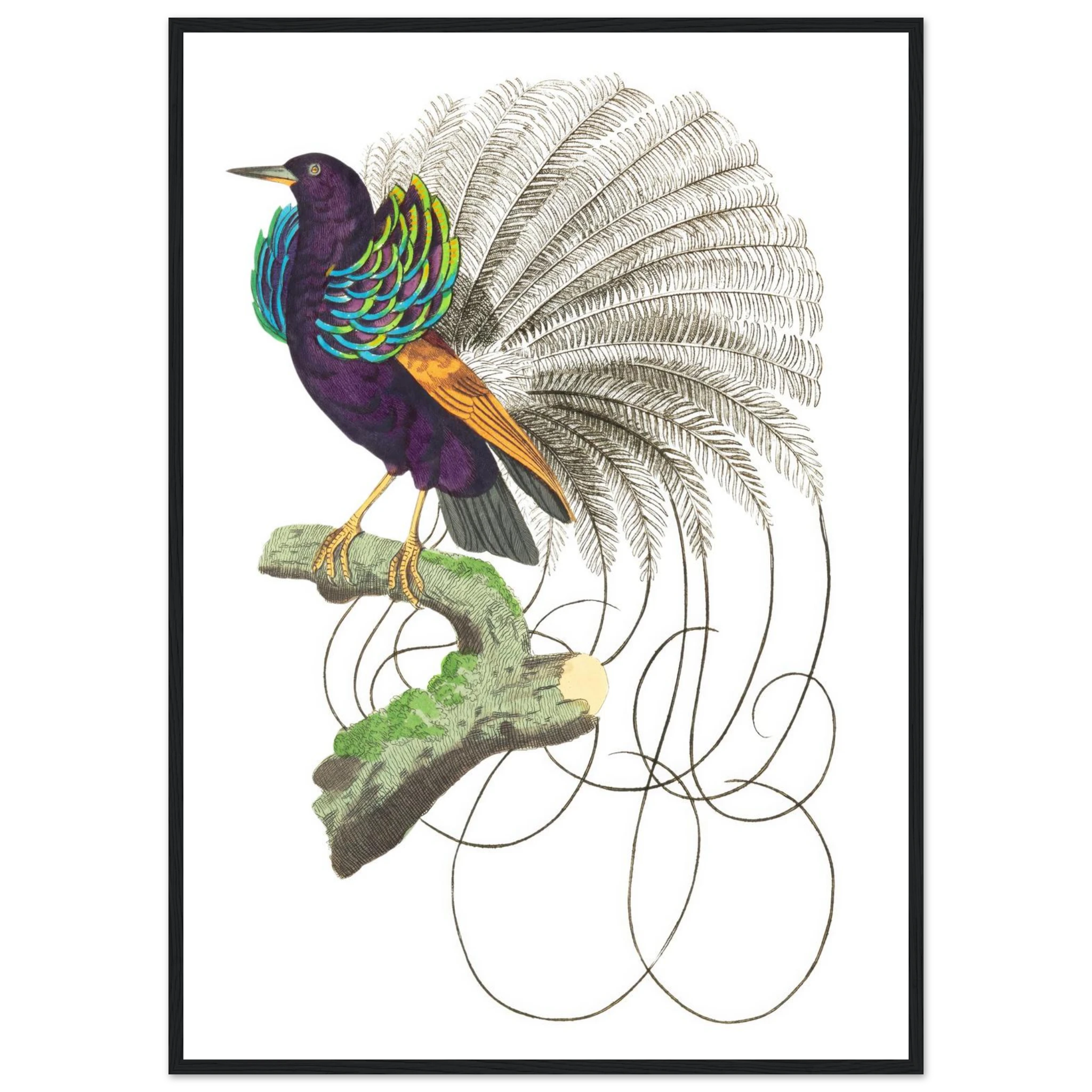 ff1f31c5-e234-4873-a1bf-5a15d257664e