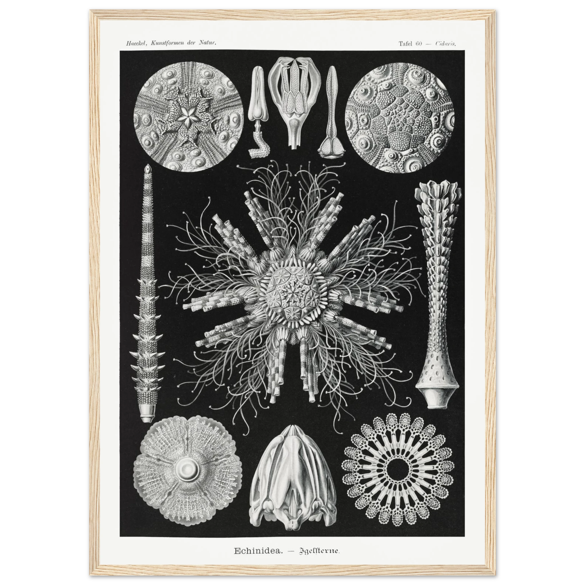 ff71e983-9253-4c9f-b247-29ebe567d1ce