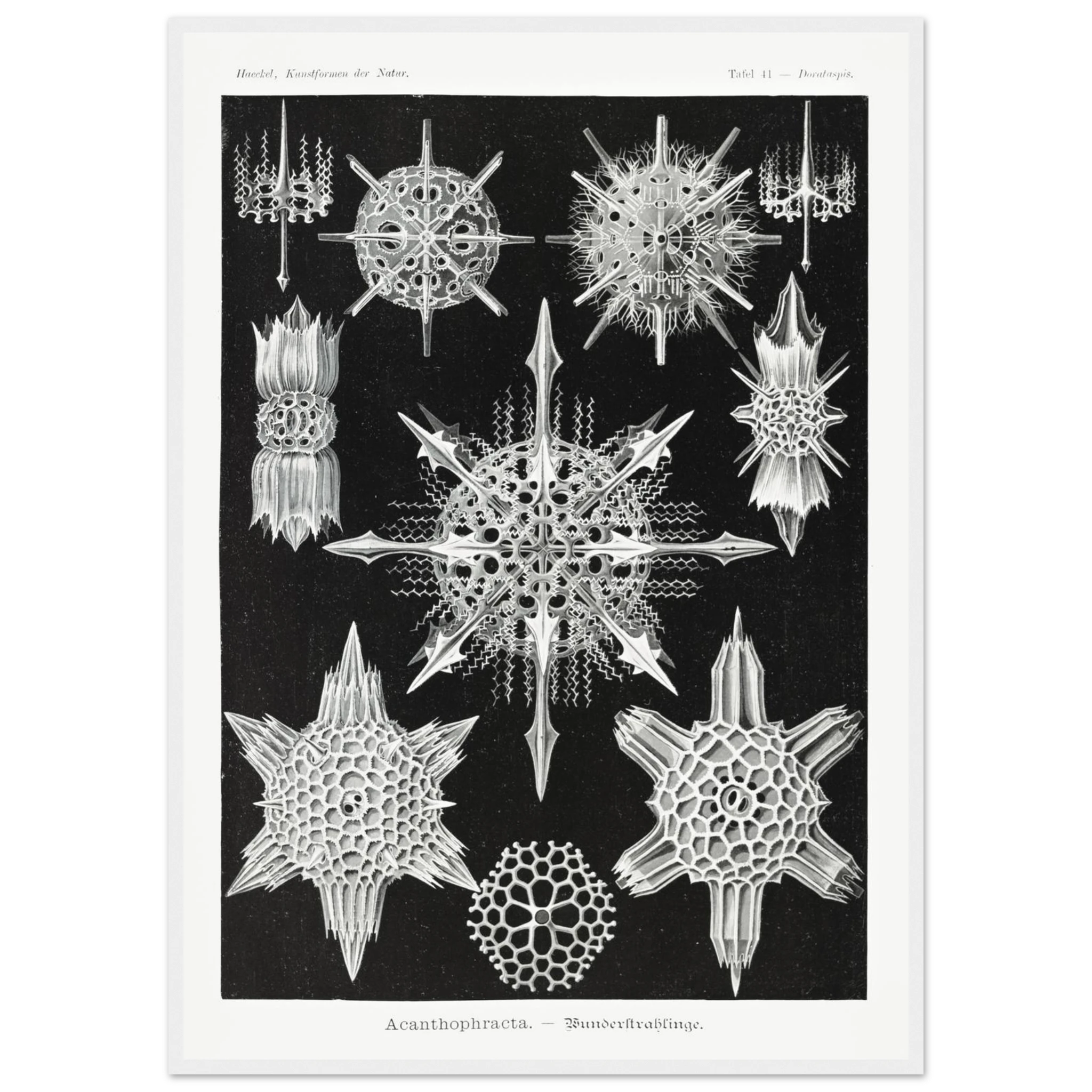 ff86aa61-428e-4f24-91dc-b21e28f106c0