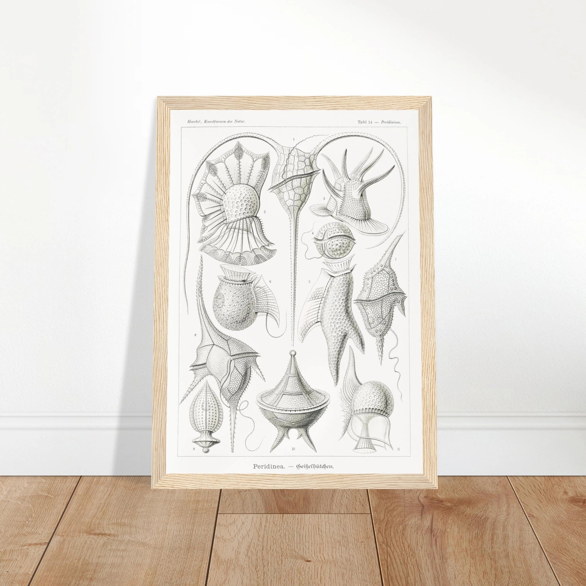 ffa1b8b3-aac9-4d4a-9459-7b4a43f3c8c6